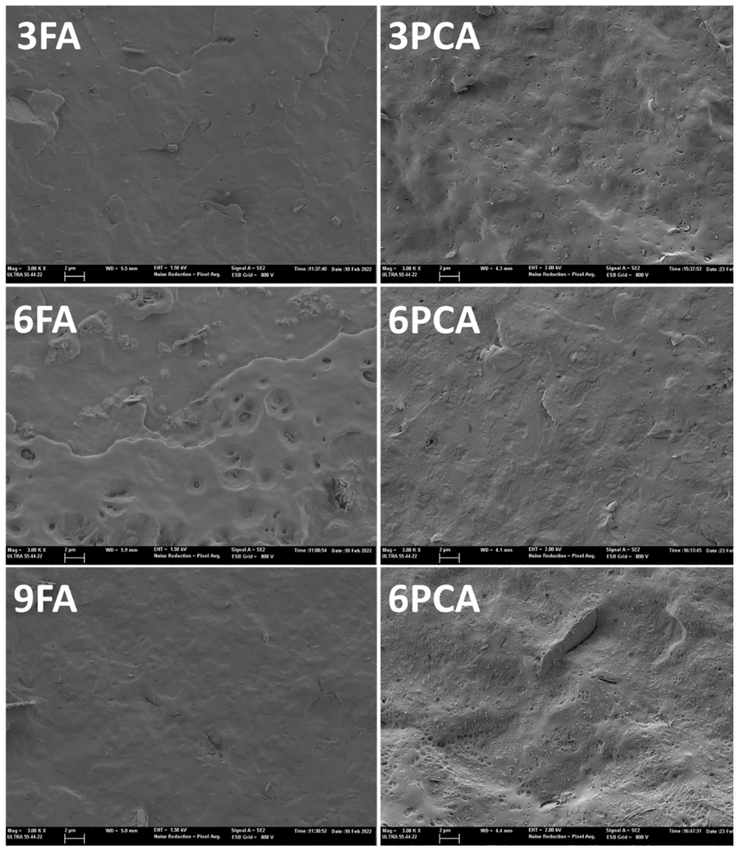 Polymers 15 04222 g001