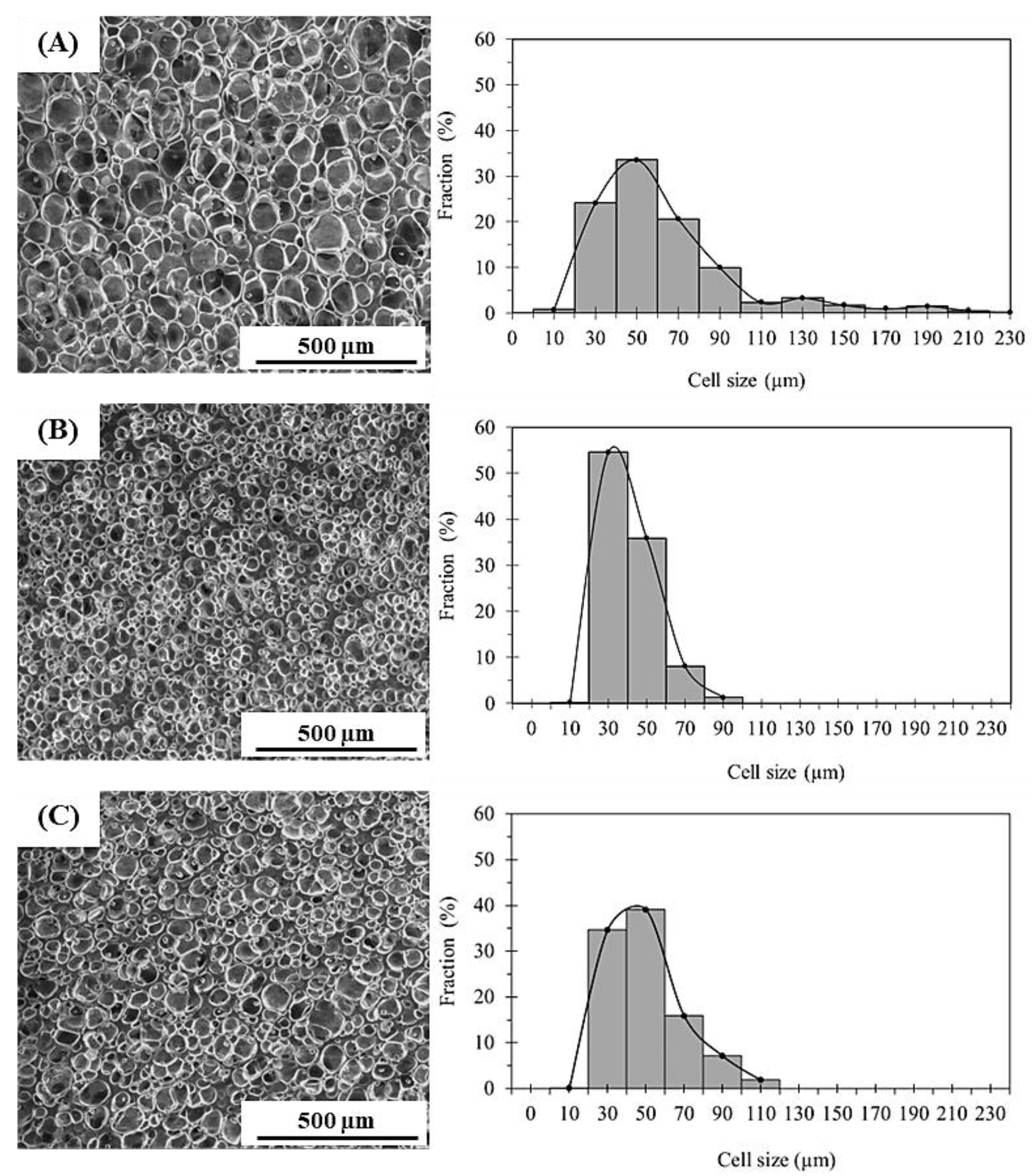 Polymers 15 04223 g002