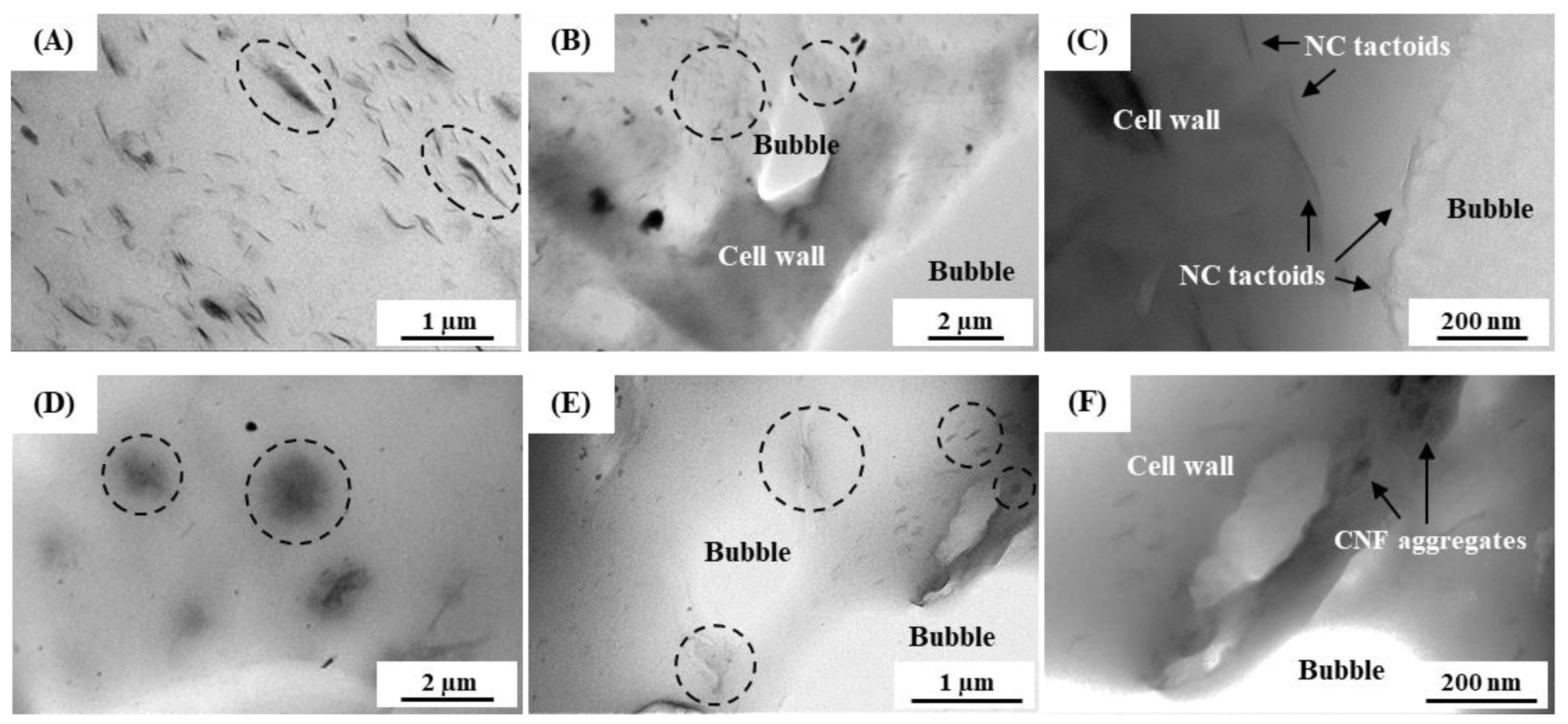Polymers 15 04223 g003