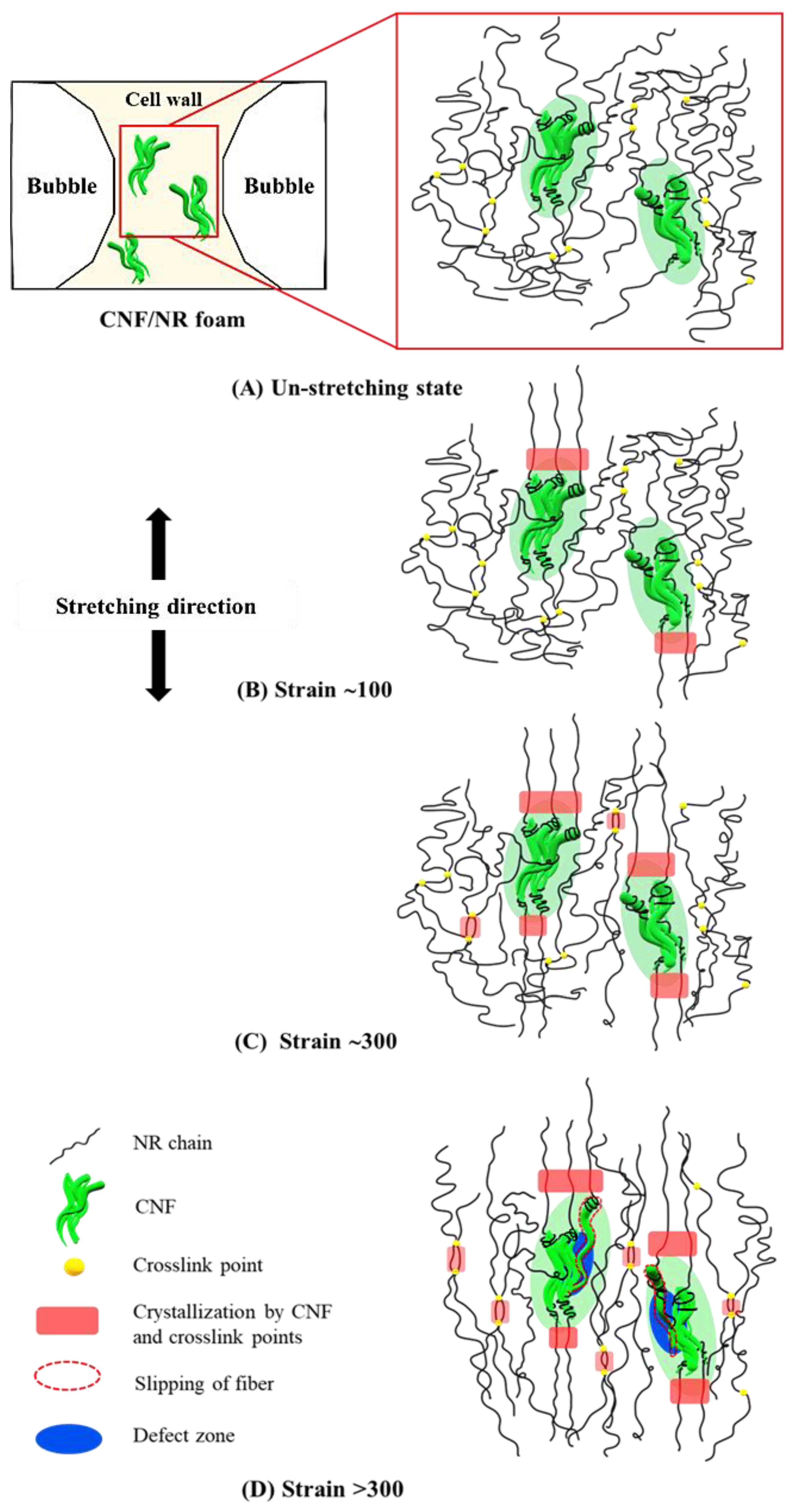 Polymers 15 04223 g008