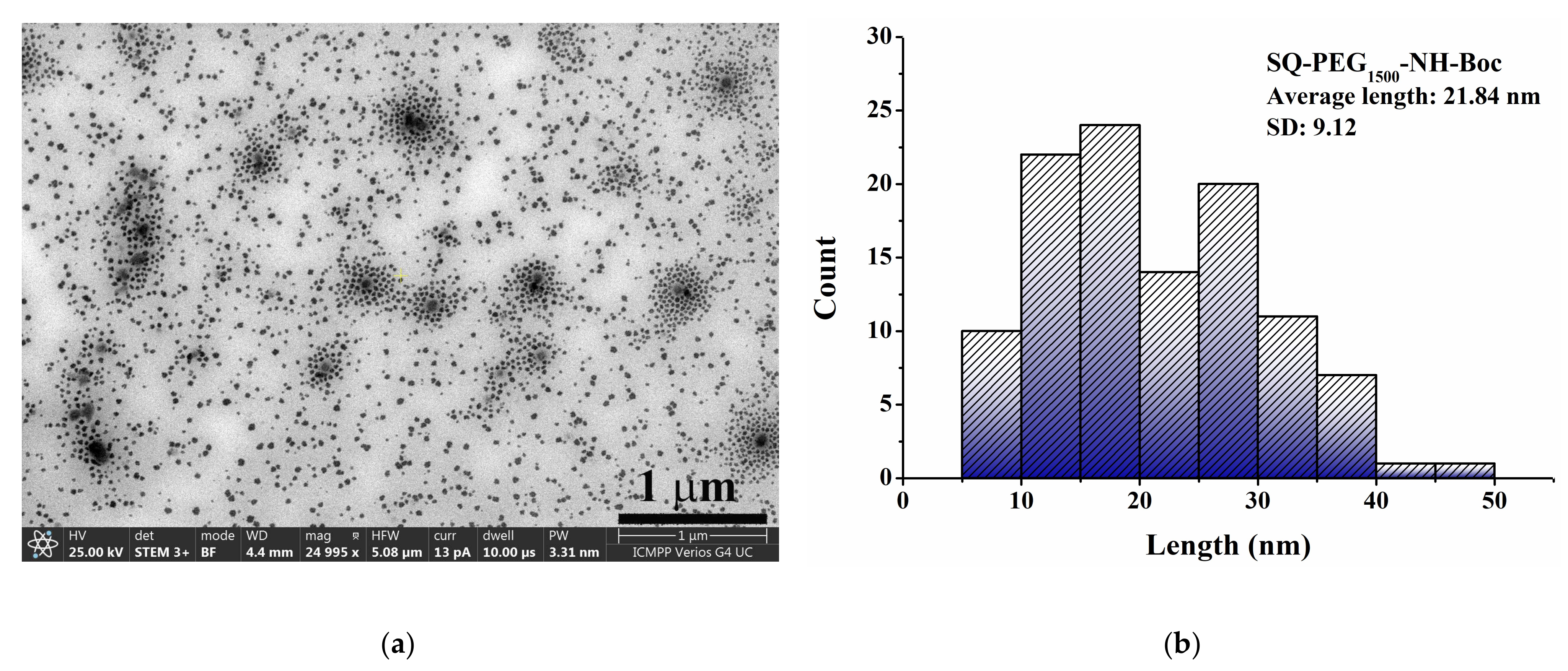 Polymers 15 04225 g005