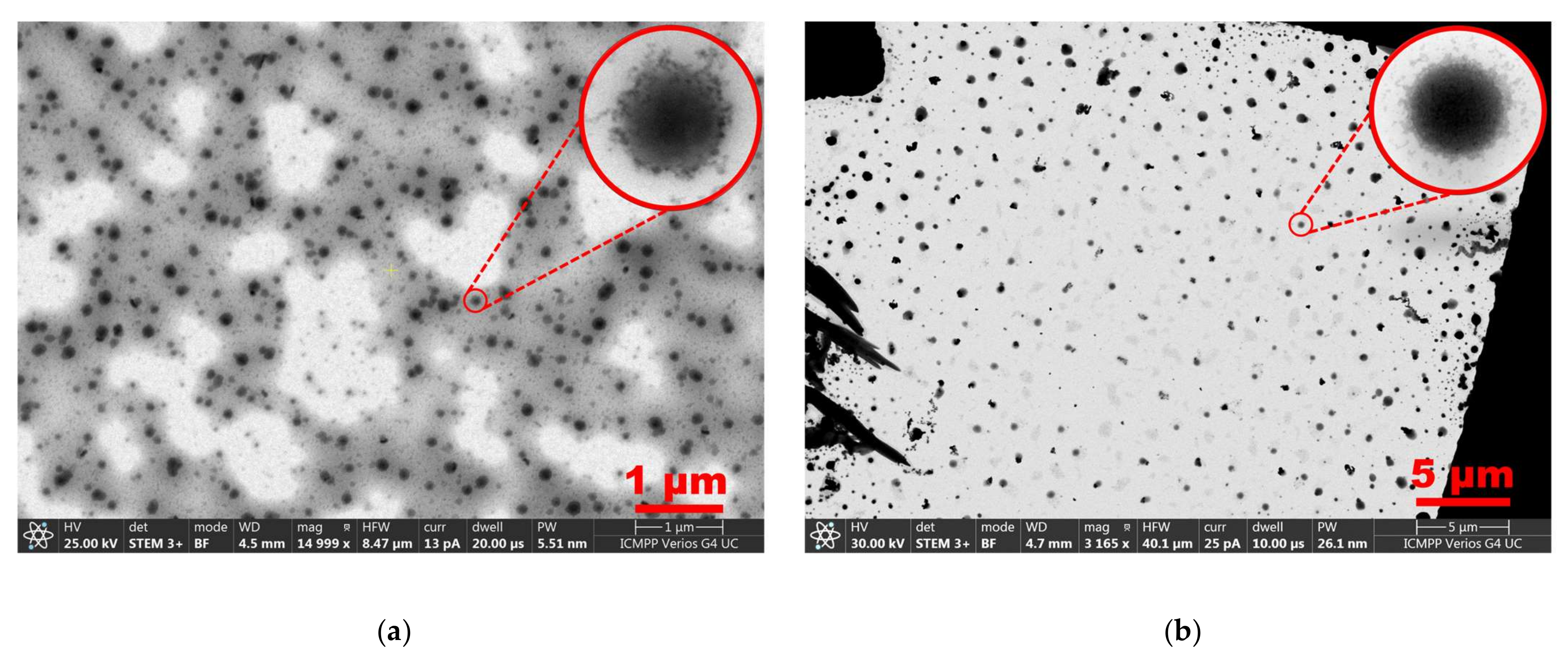 Polymers 15 04225 g008a