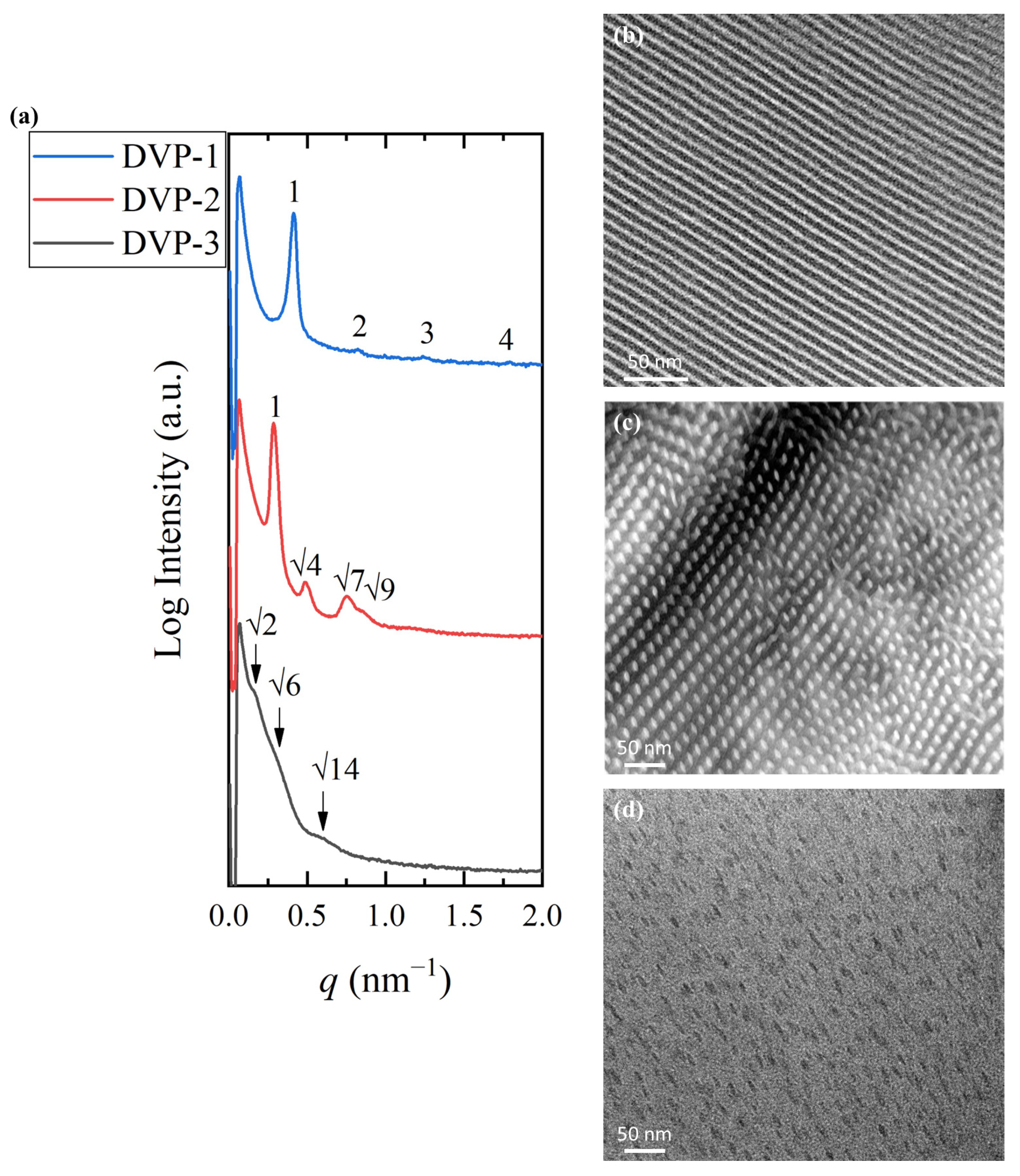 Polymers 15 04227 g003