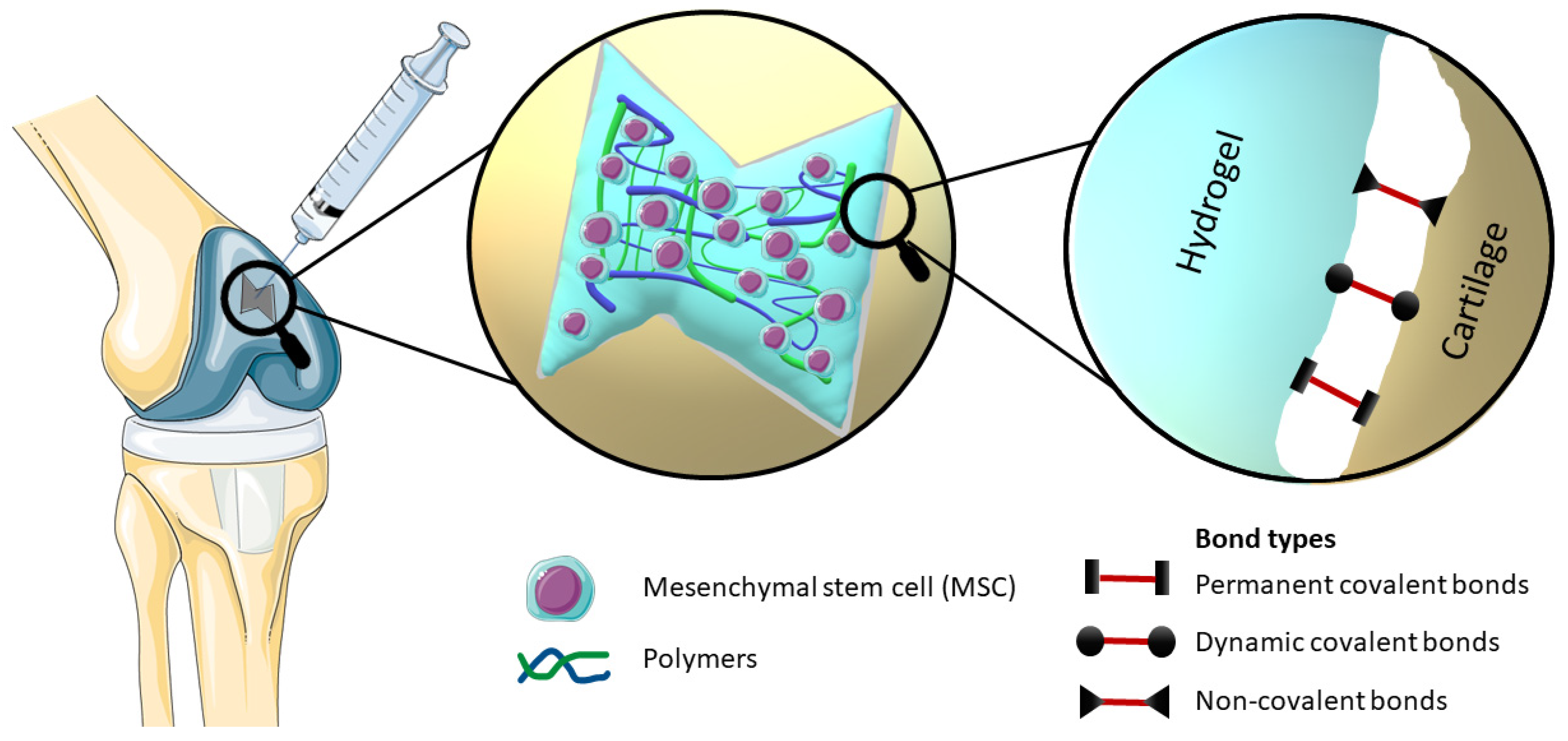 Polymers 15 04228 g001