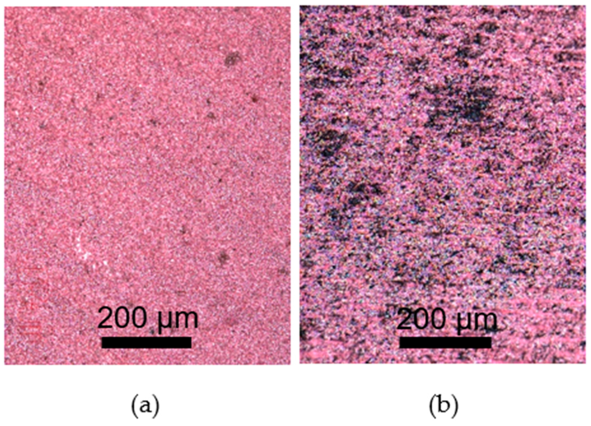Polymers 15 04229 g010
