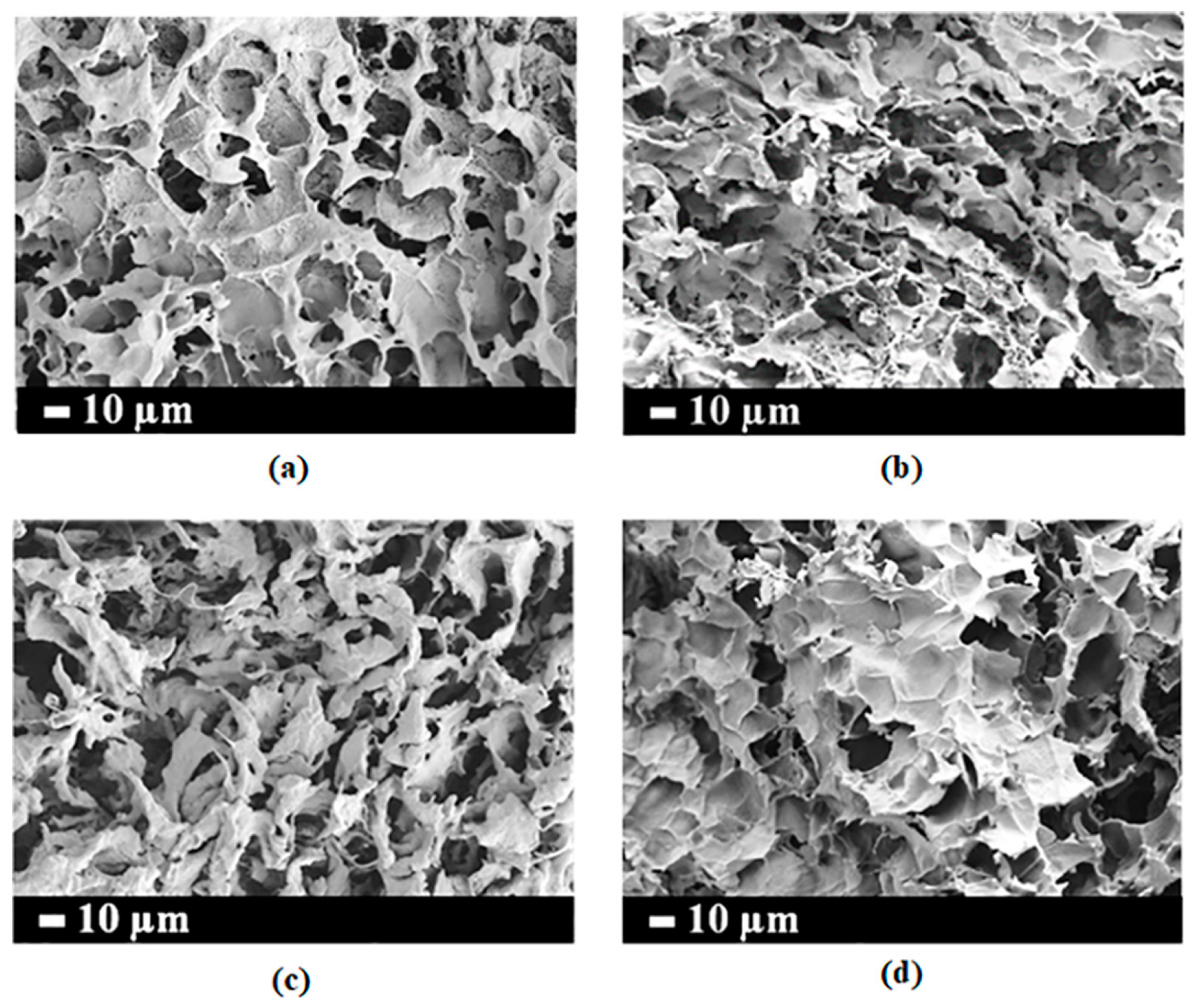 Polymers 15 04230 g003