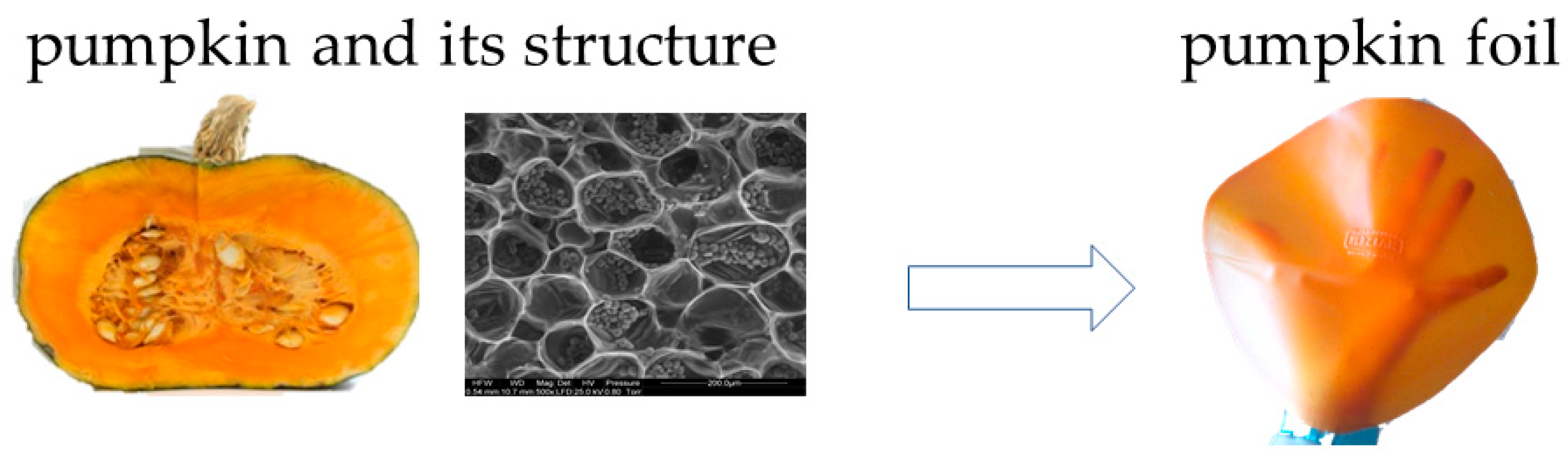 Polymers 15 04231 g005