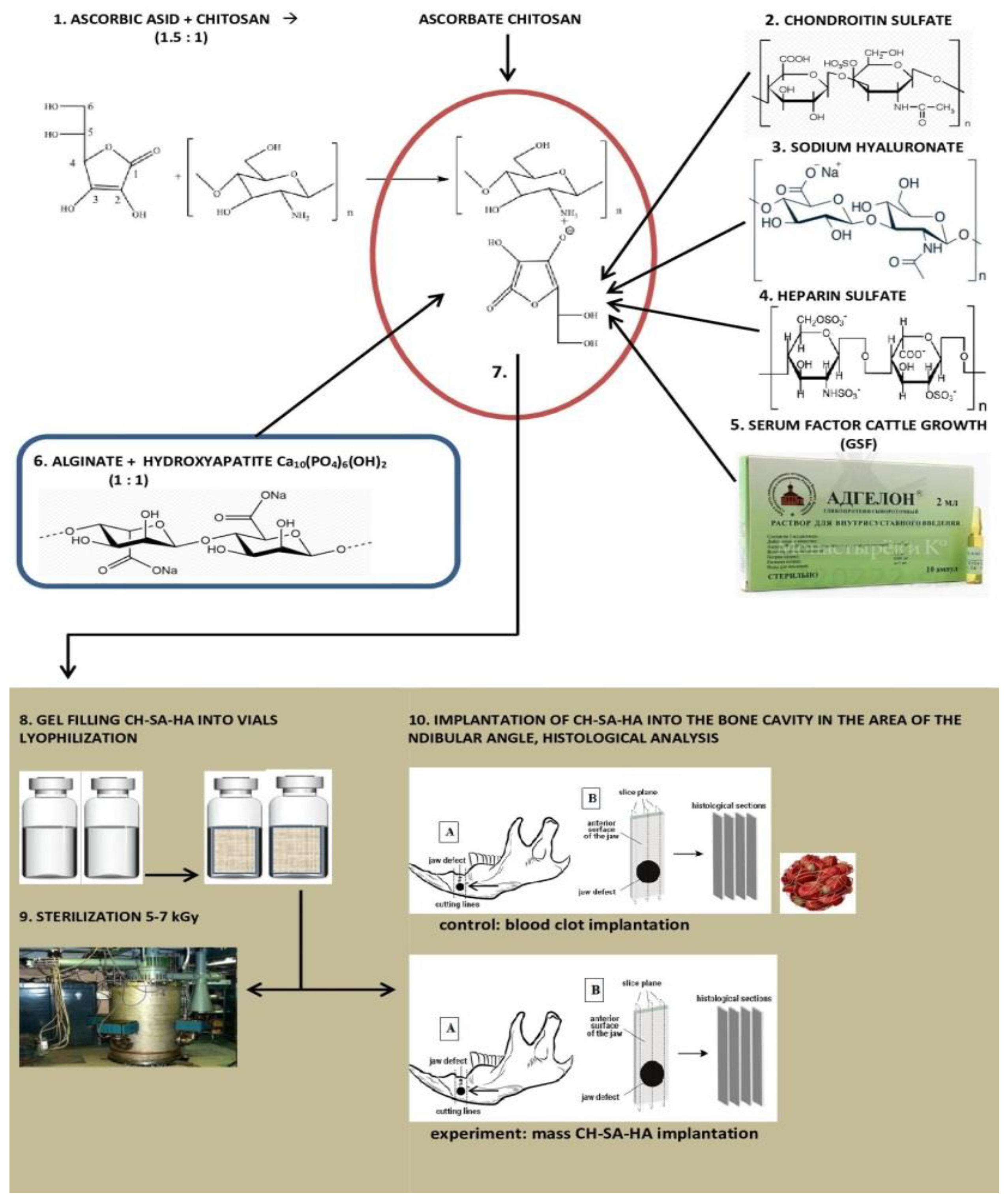 Polymers 15 04232 g001
