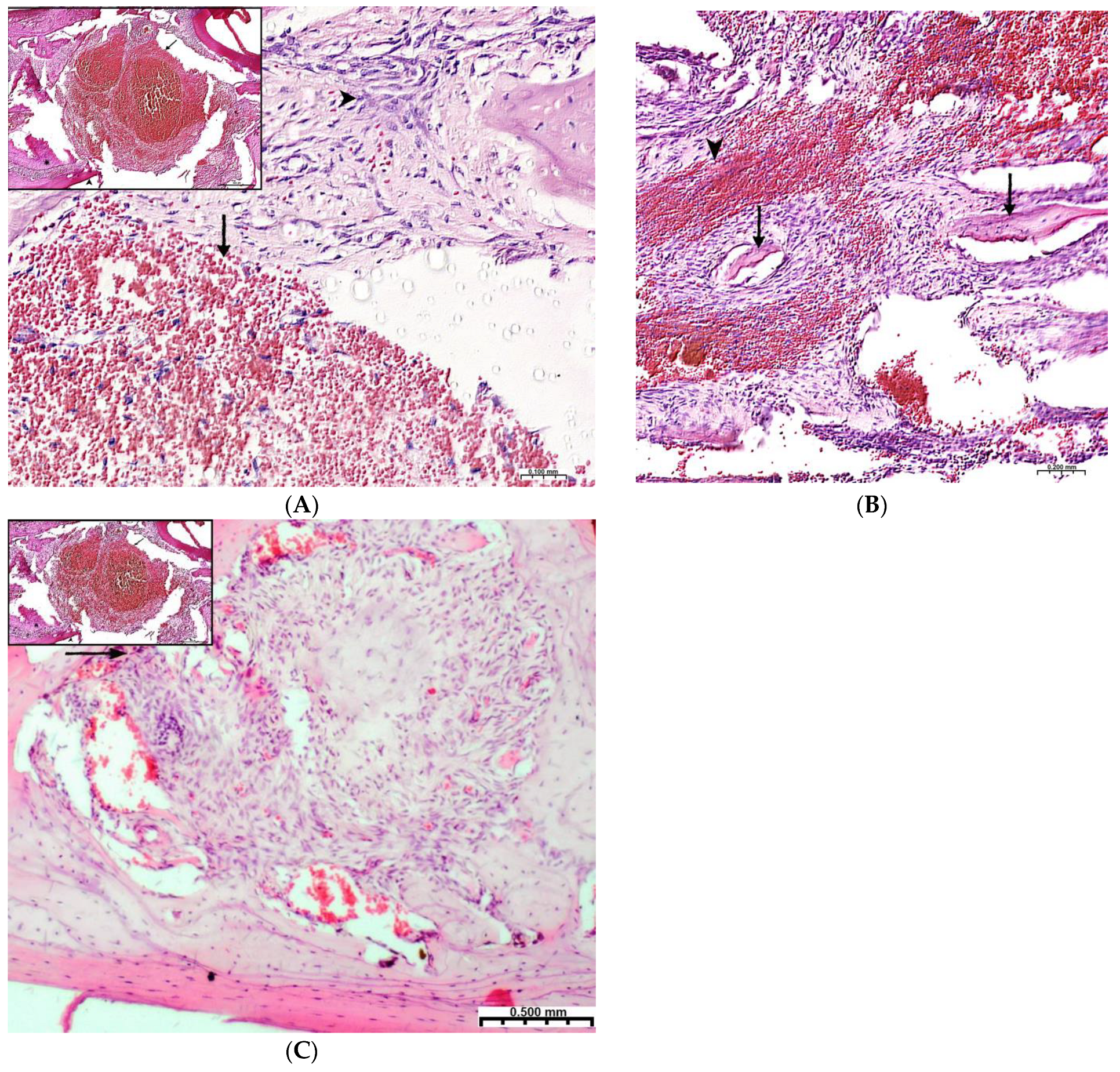 Polymers 15 04232 g002