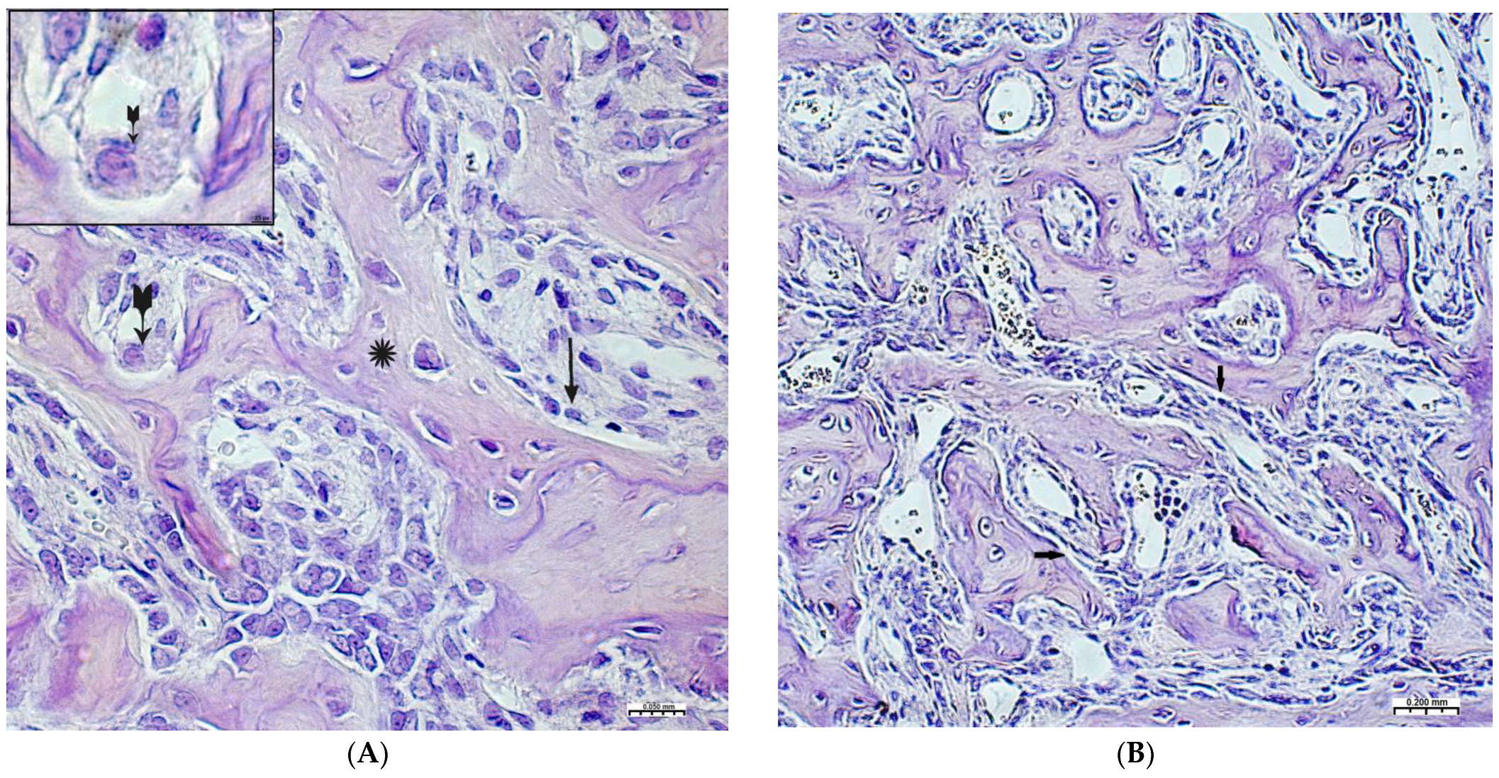 Polymers 15 04232 g003