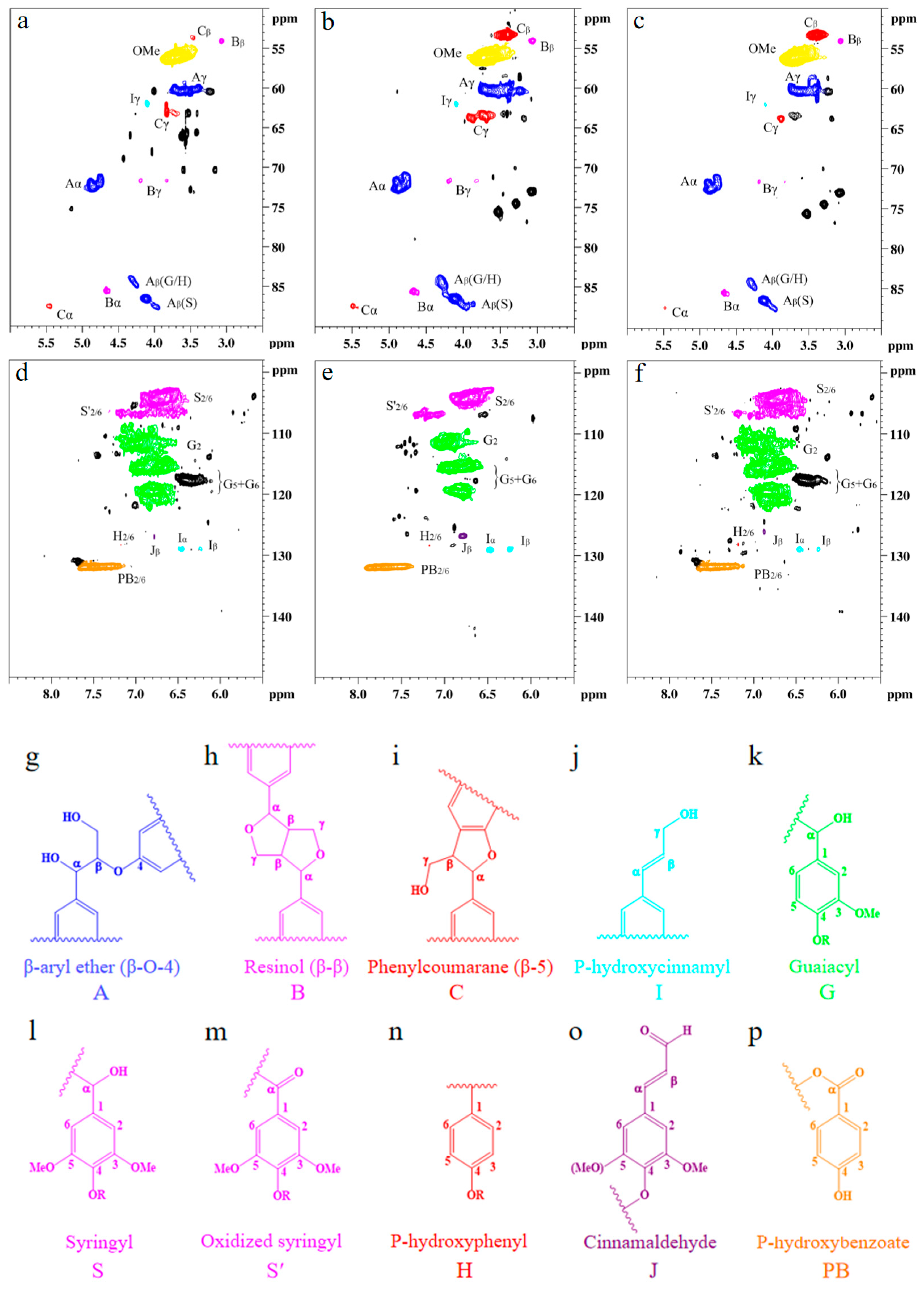 Polymers 15 04233 g005