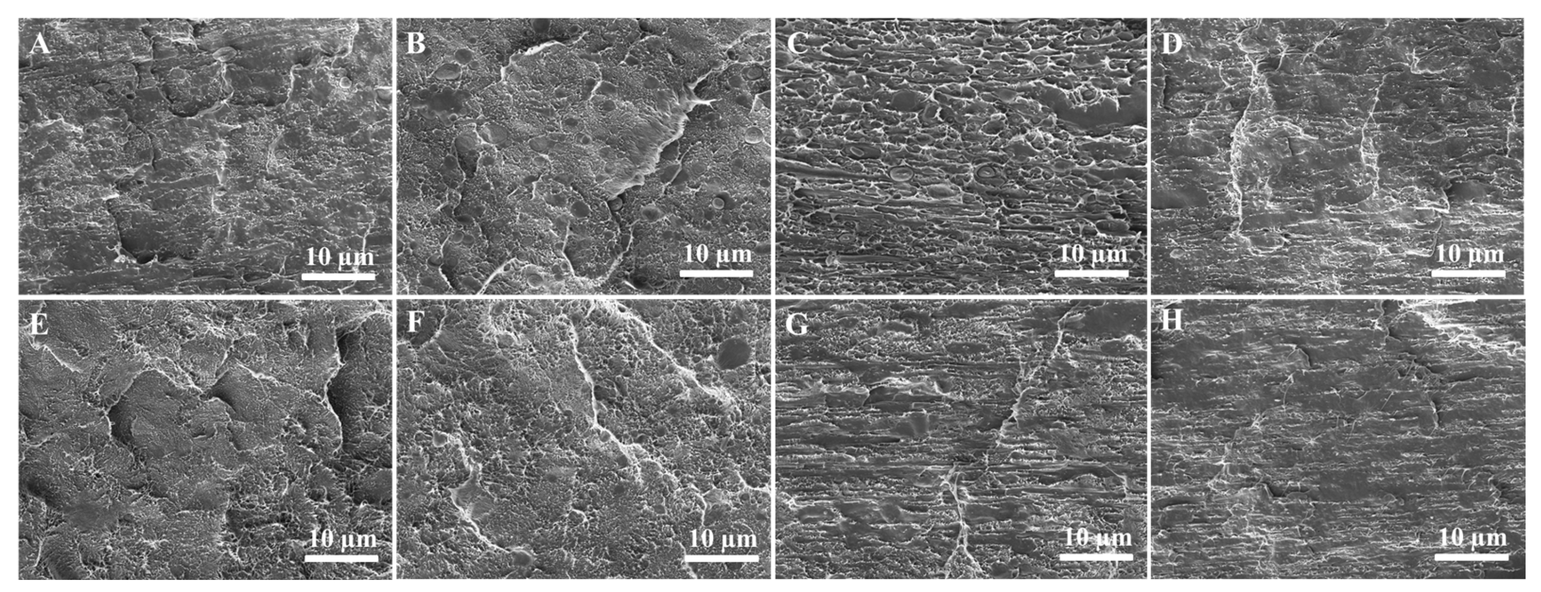 Polymers 15 04236 g008