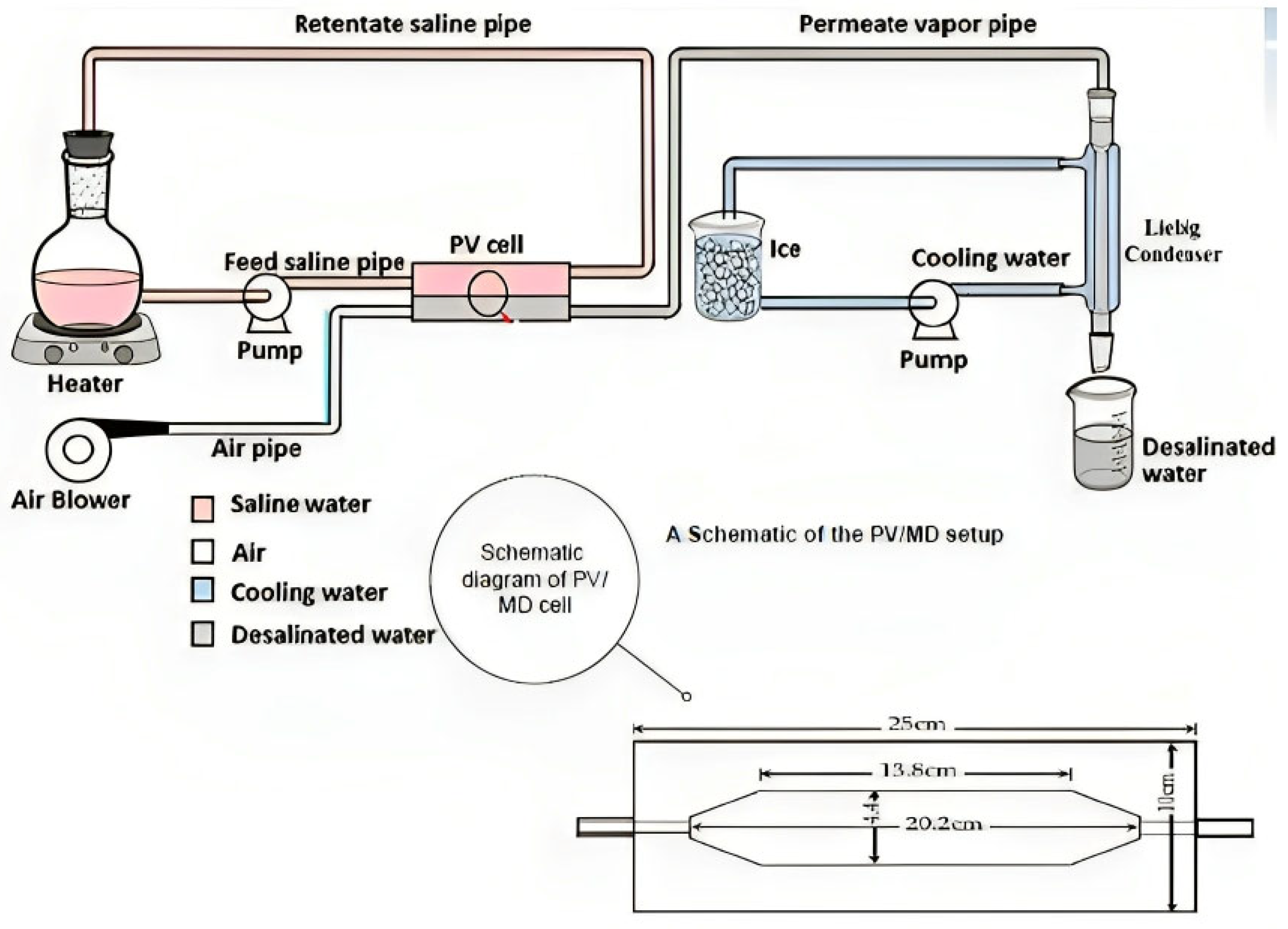 Polymers 15 04237 g001