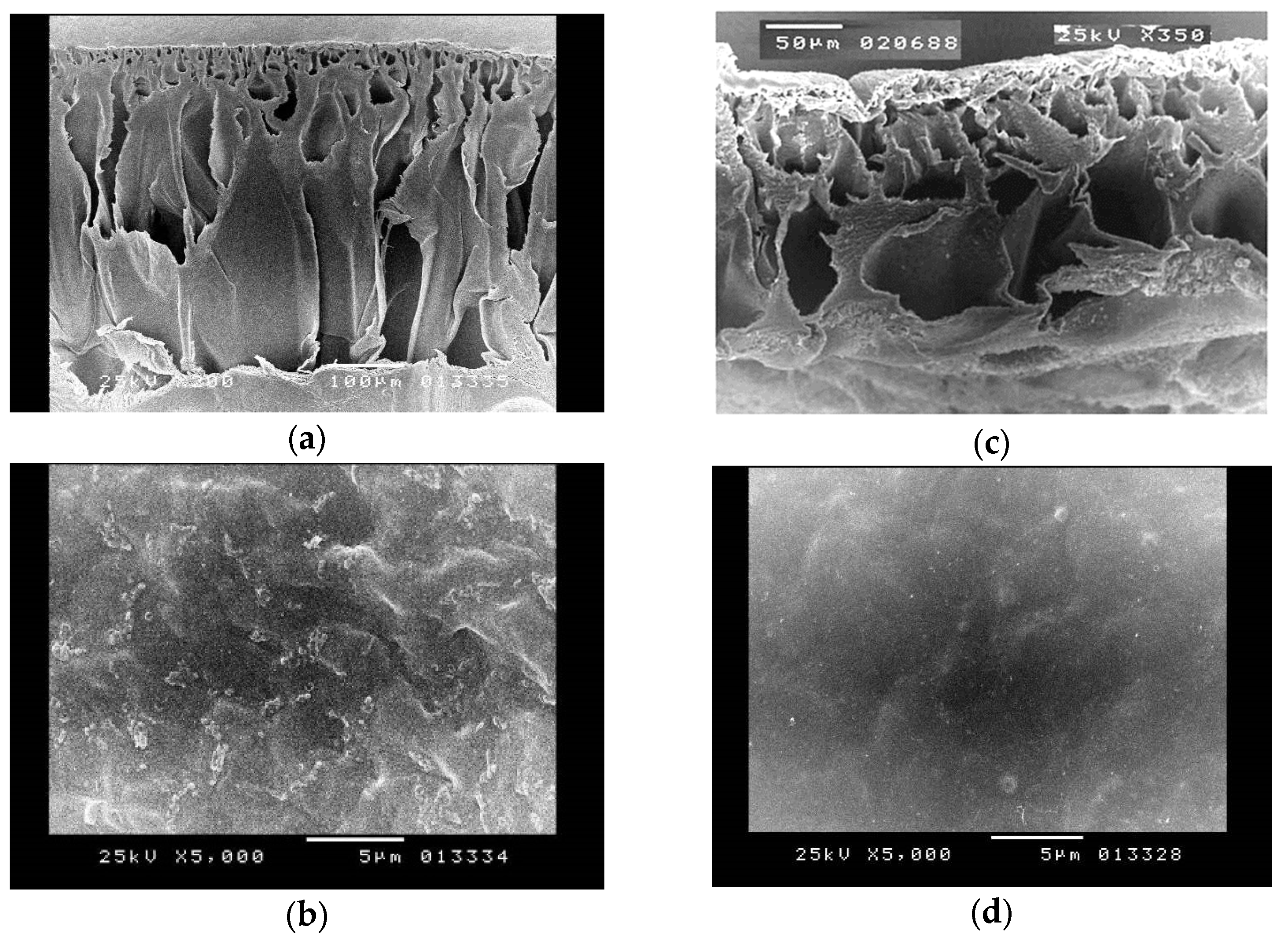 Polymers 15 04237 g008