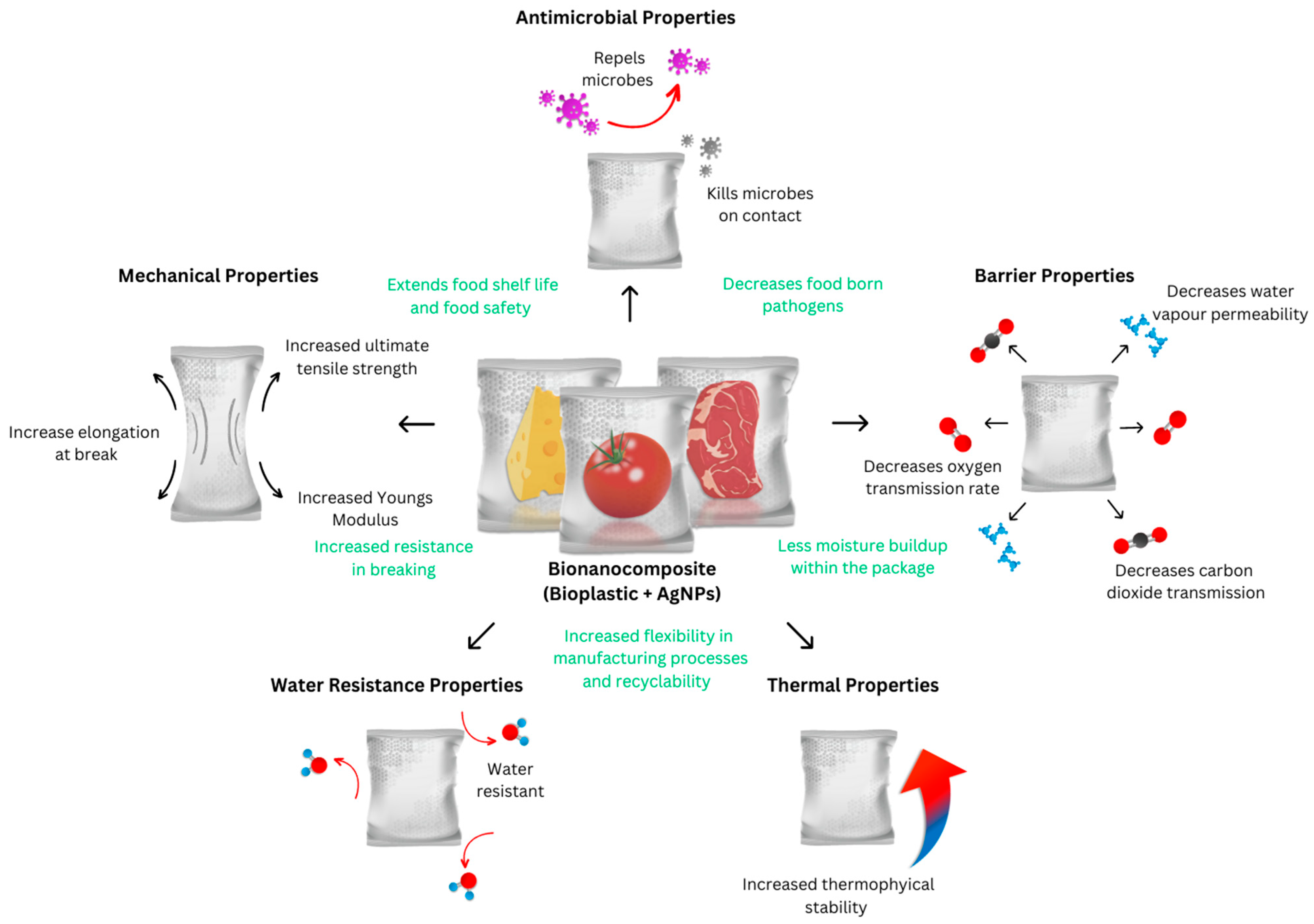 Polymers 15 04243 g001