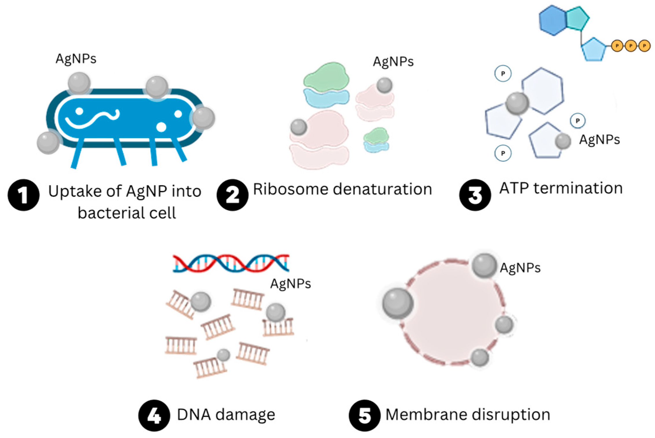 Polymers 15 04243 g003