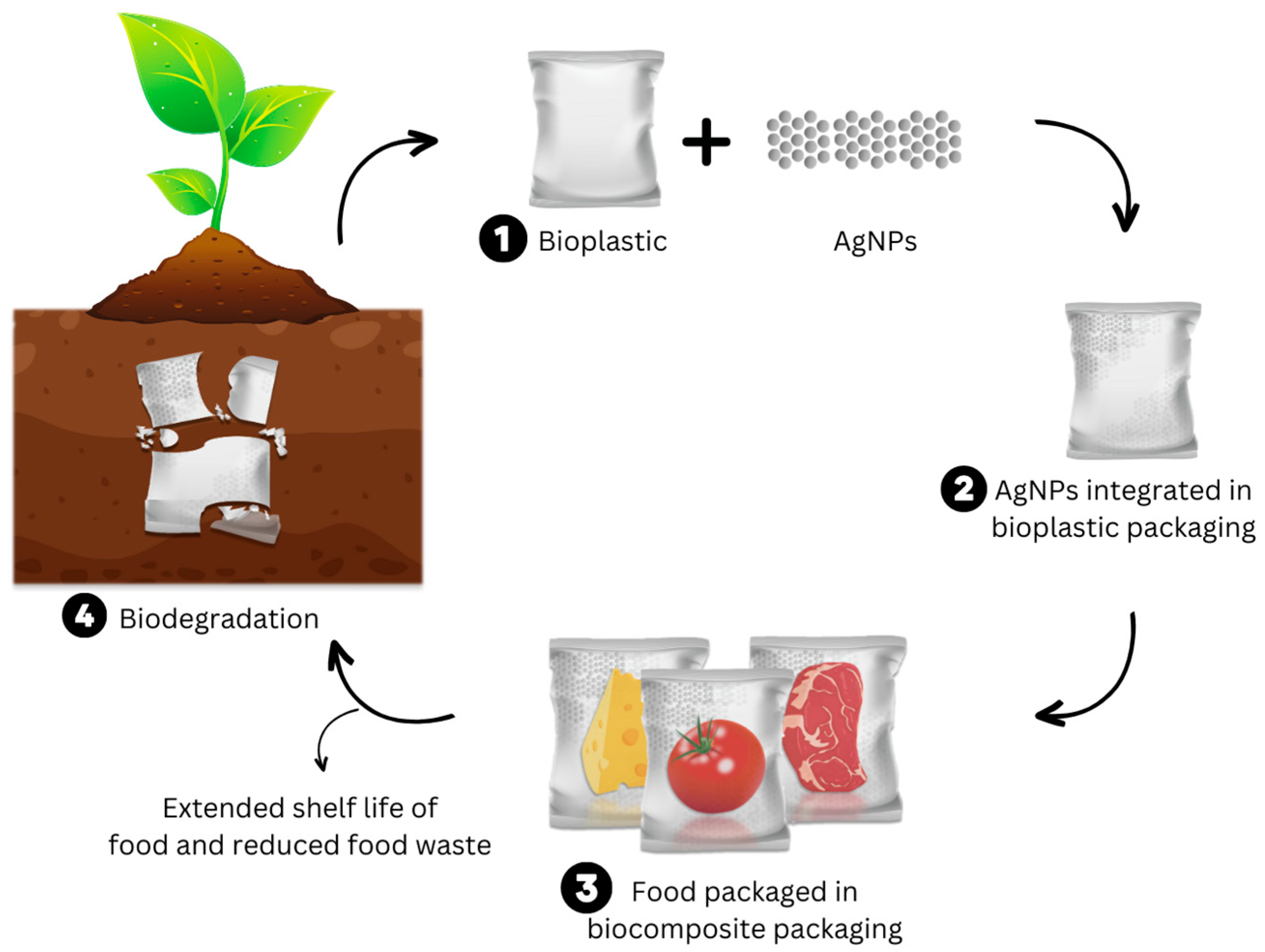 Polymers 15 04243 g007