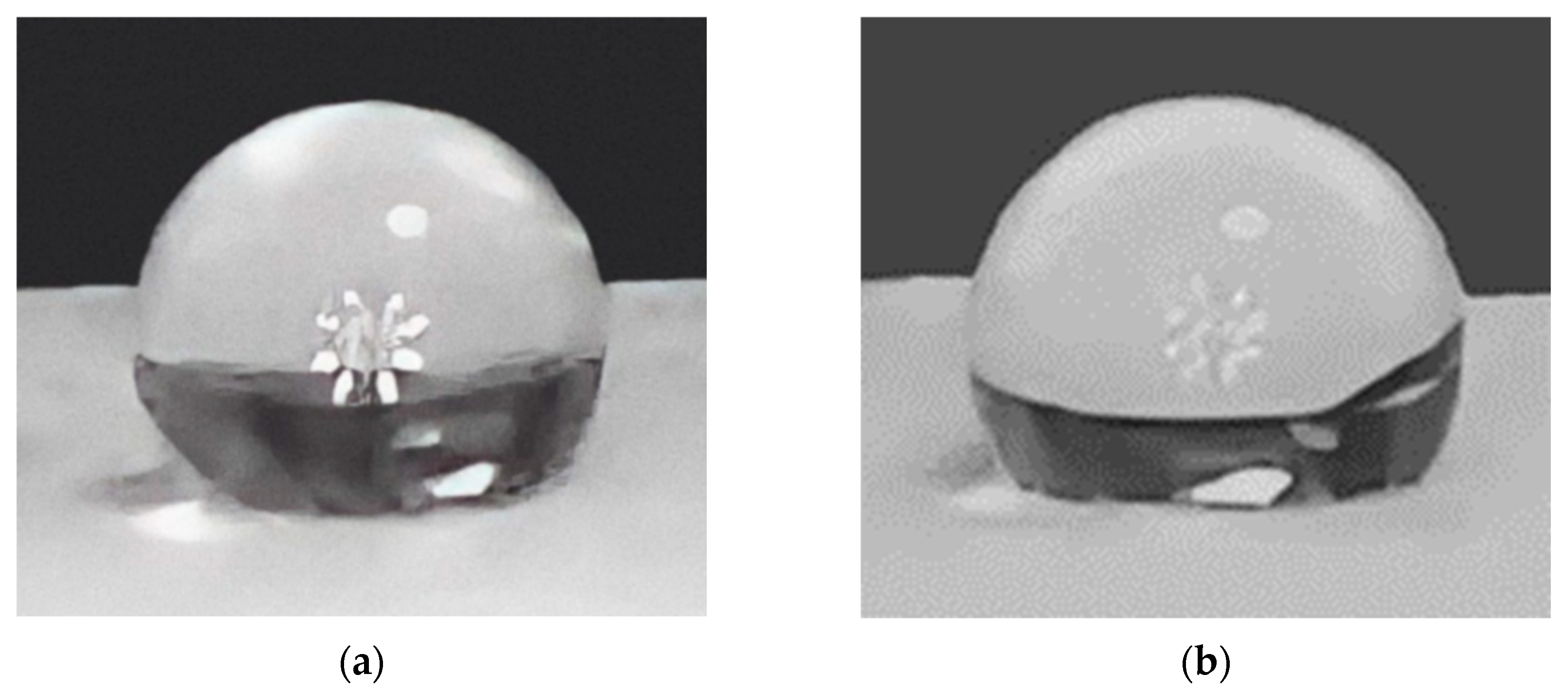 Polymers 15 04244 g007