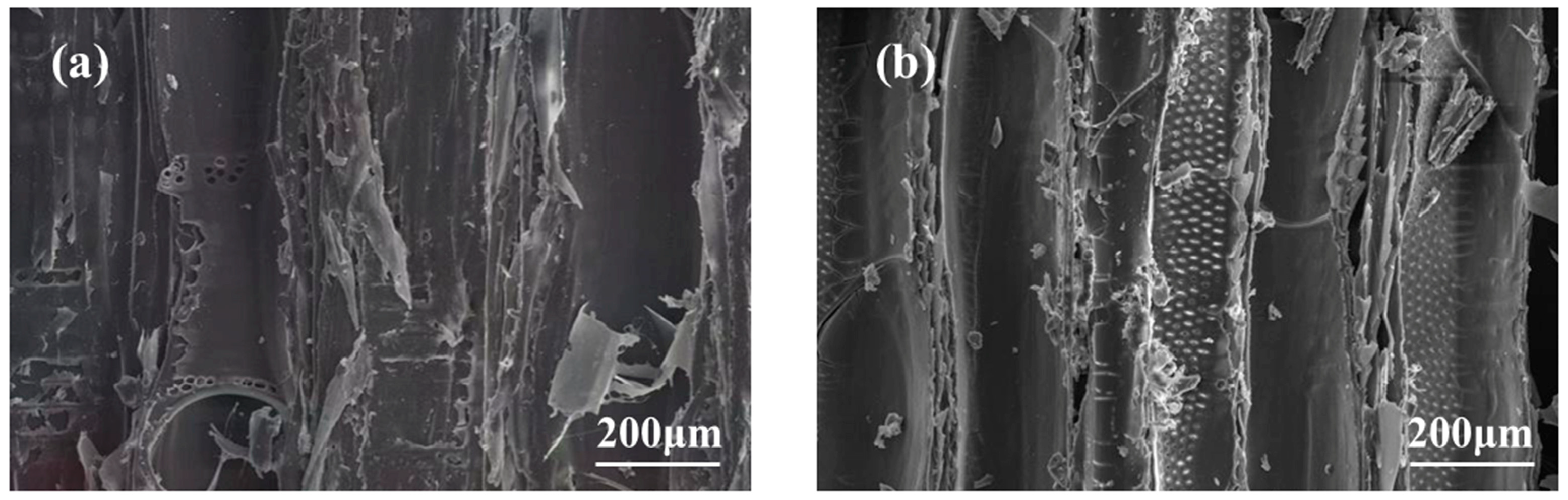 Polymers 15 04247 g005