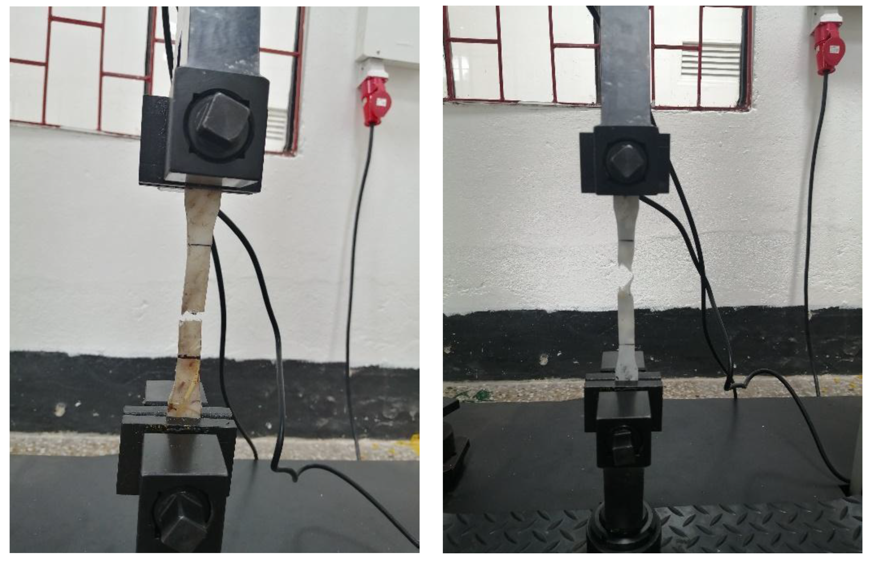 Polymers 15 04249 g003