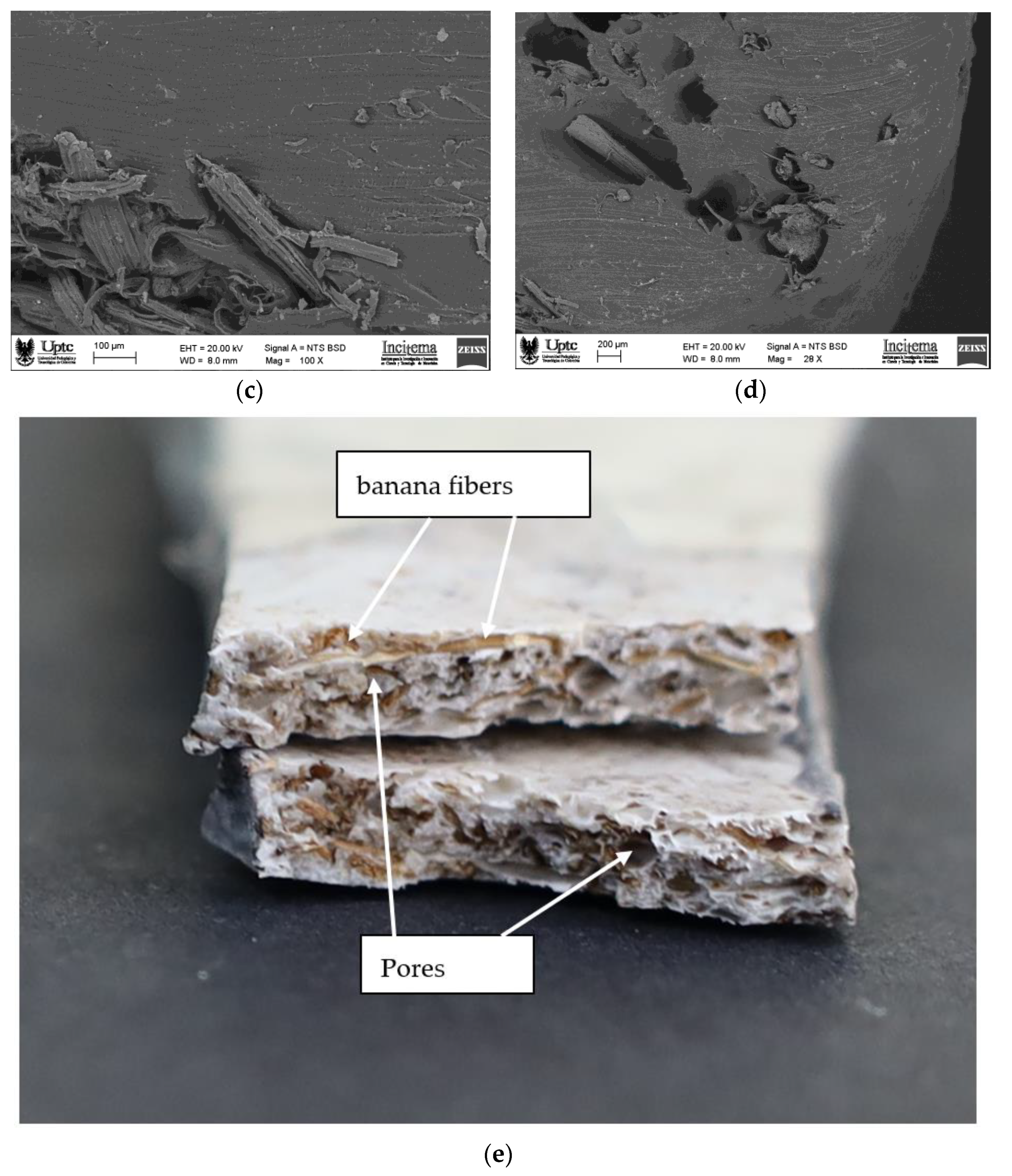 Polymers 15 04249 g006b