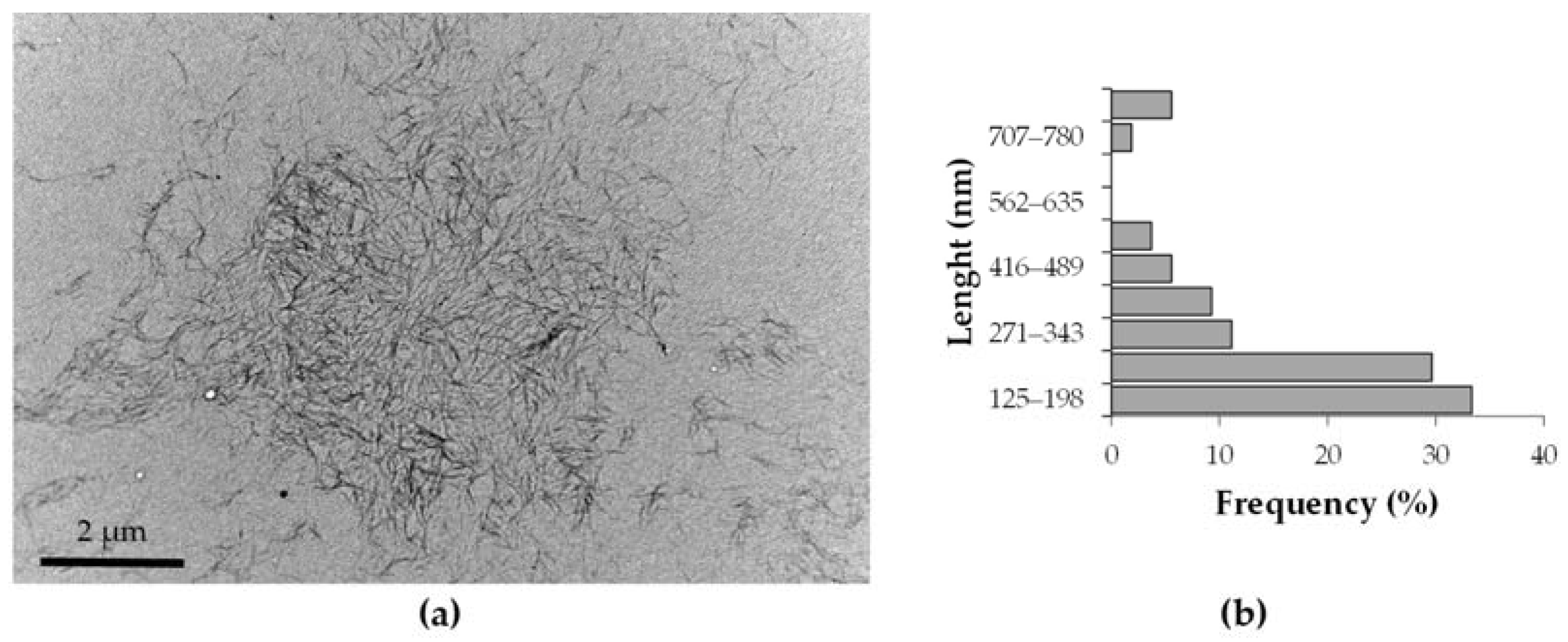 Polymers 15 04251 g002