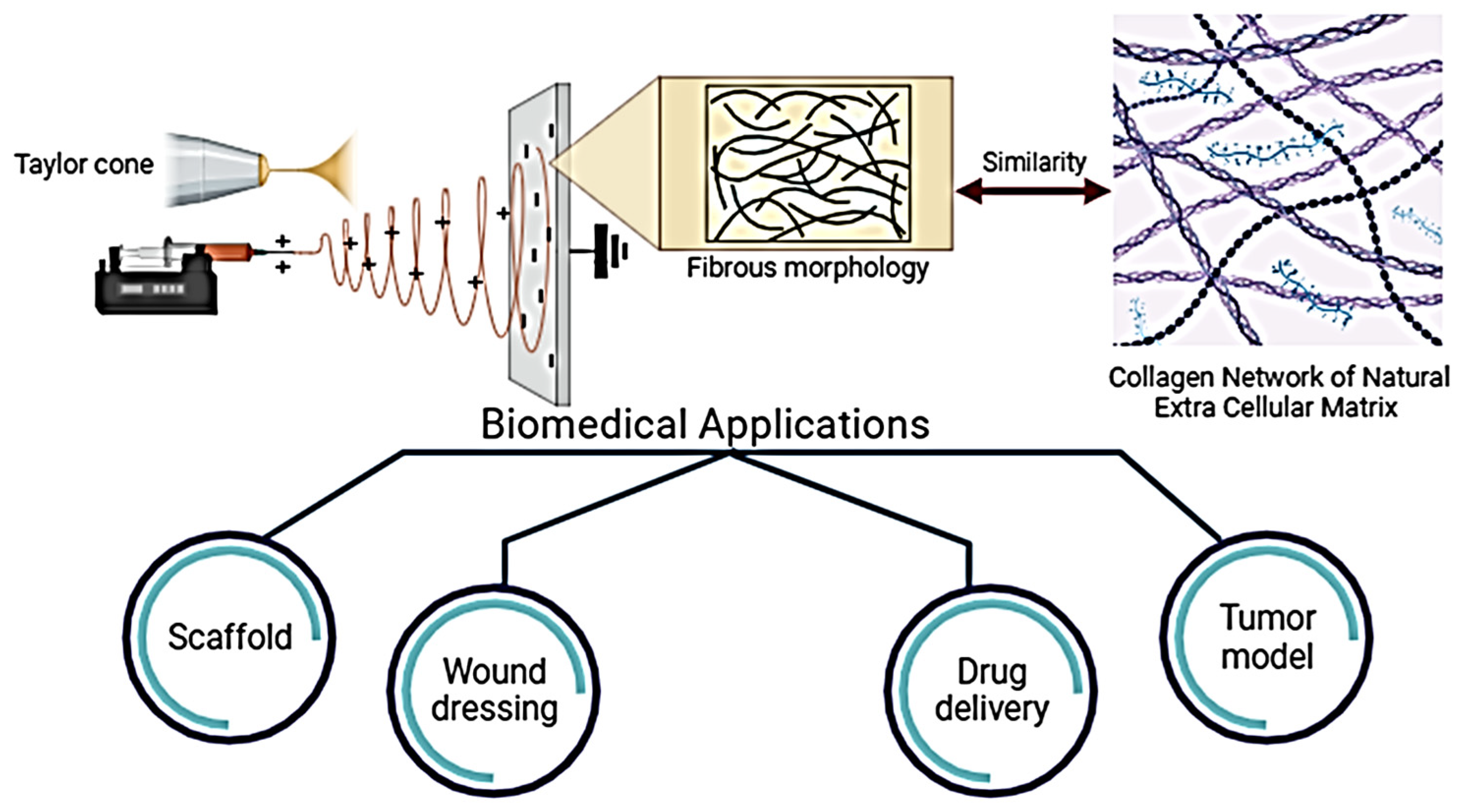 Polymers 15 04253 g002