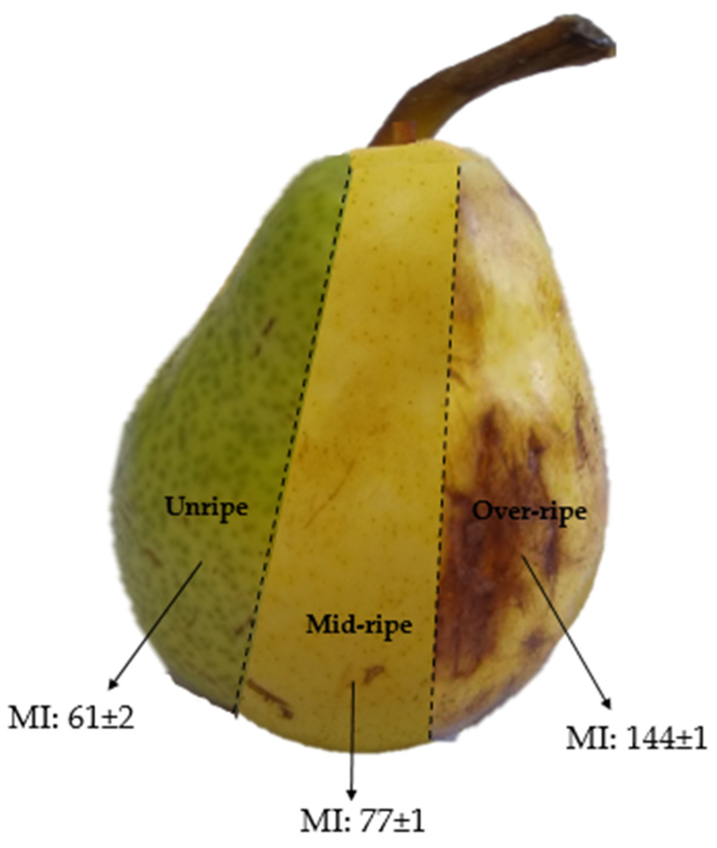 Polymers 15 04263 g001