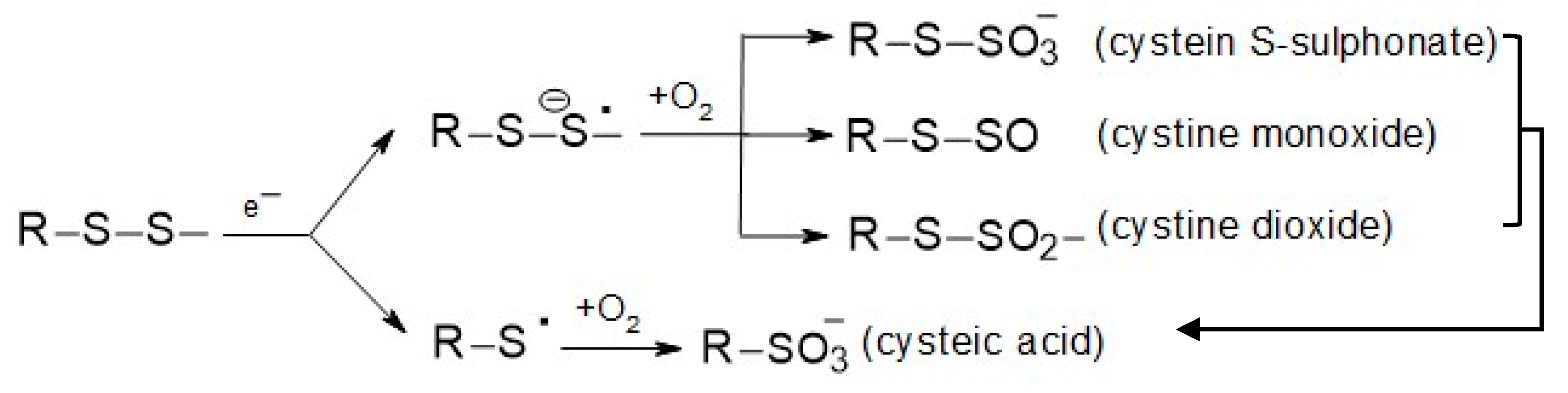 Polymers 15 04267 sch001