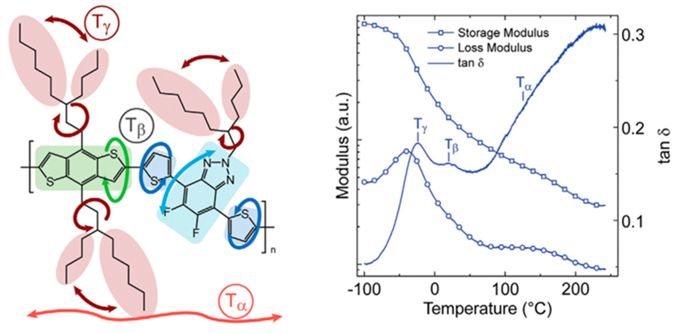 Polymers 15 04268 g005