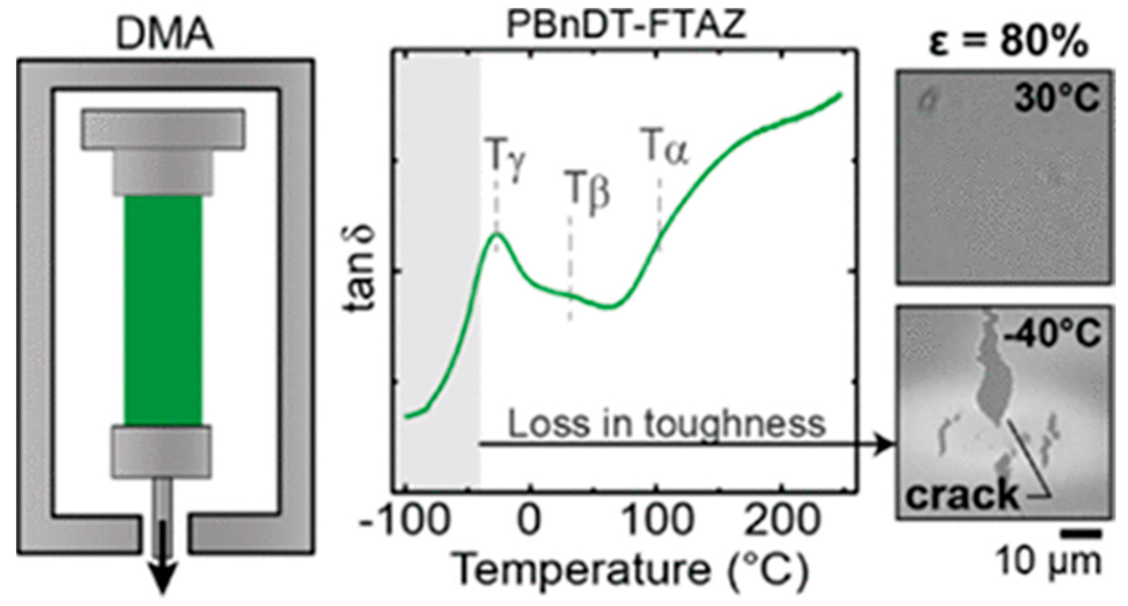 Polymers 15 04268 g007