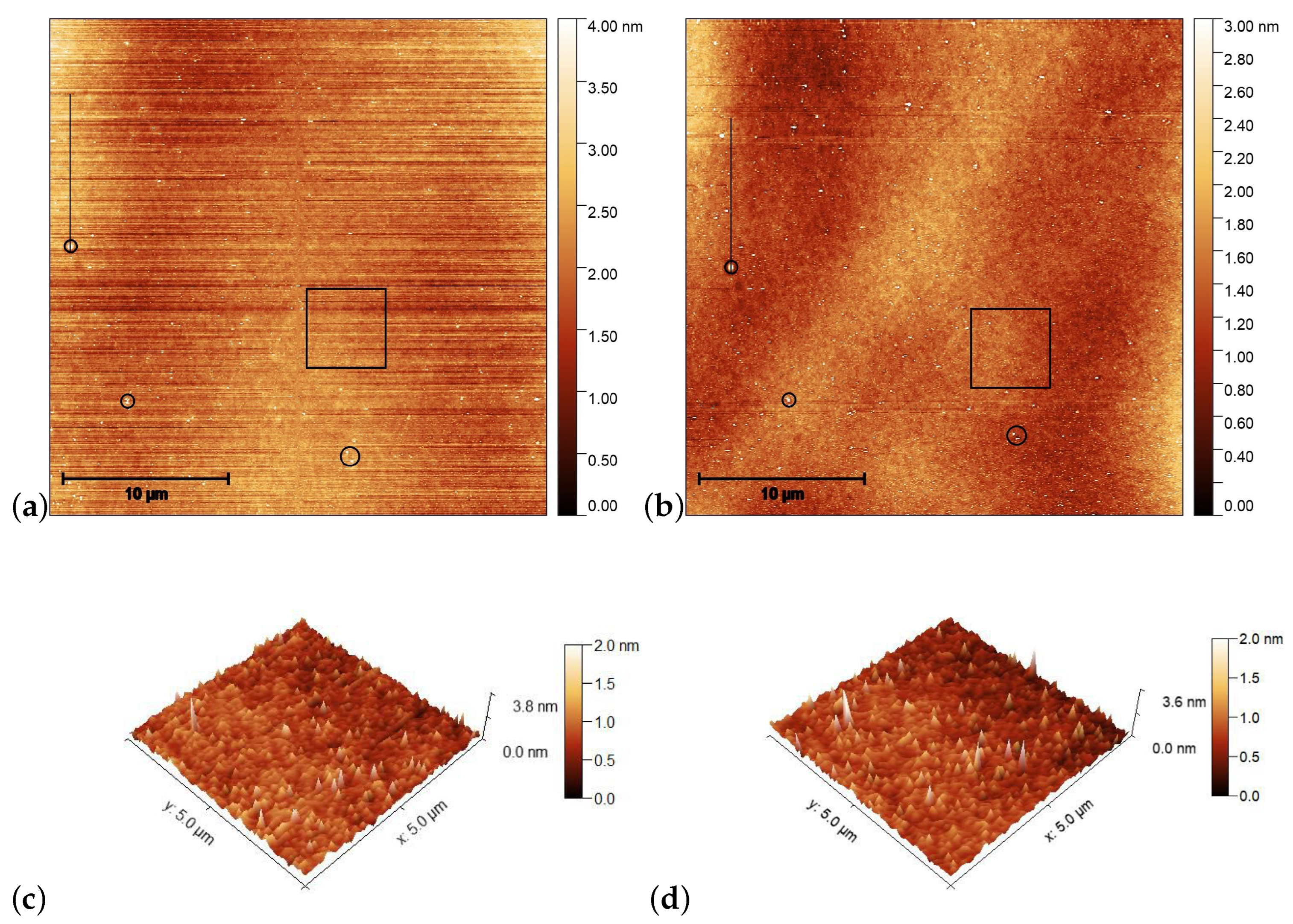 Polymers 15 04271 g004