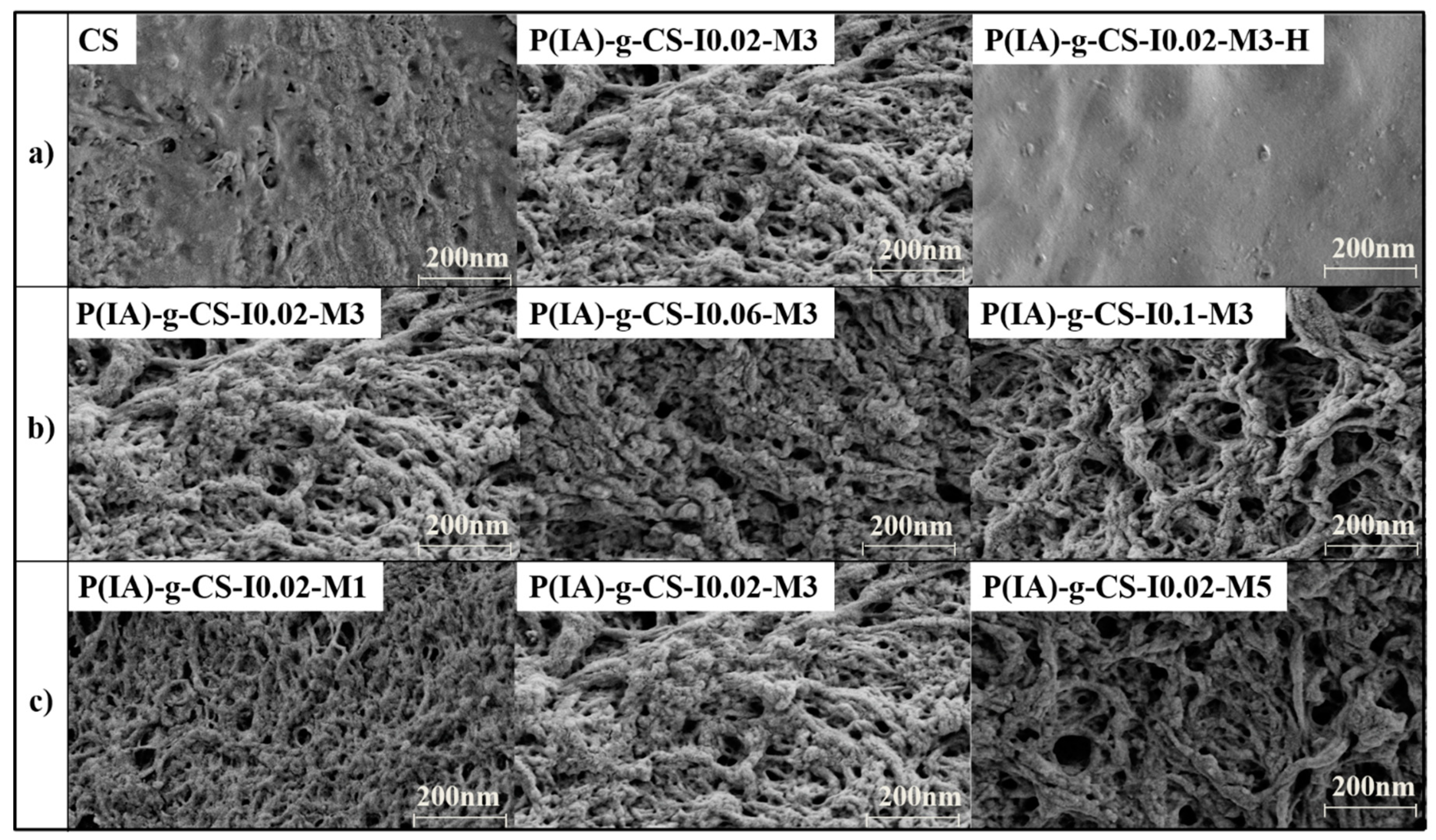 Polymers 15 04274 g004