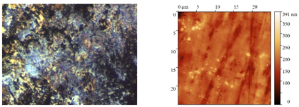 Polymers 15 04280 i003