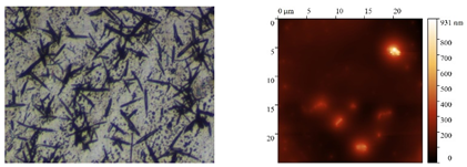 Polymers 15 04280 i004
