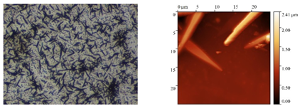 Polymers 15 04280 i005
