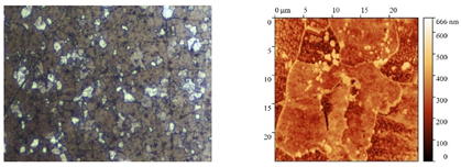 Polymers 15 04280 i006