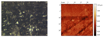 Polymers 15 04280 i007