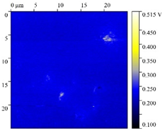 Polymers 15 04280 i011