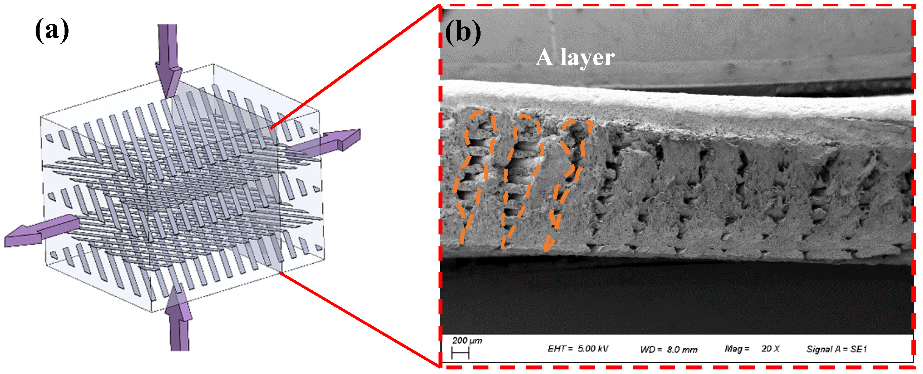 Polymers 15 04283 g012