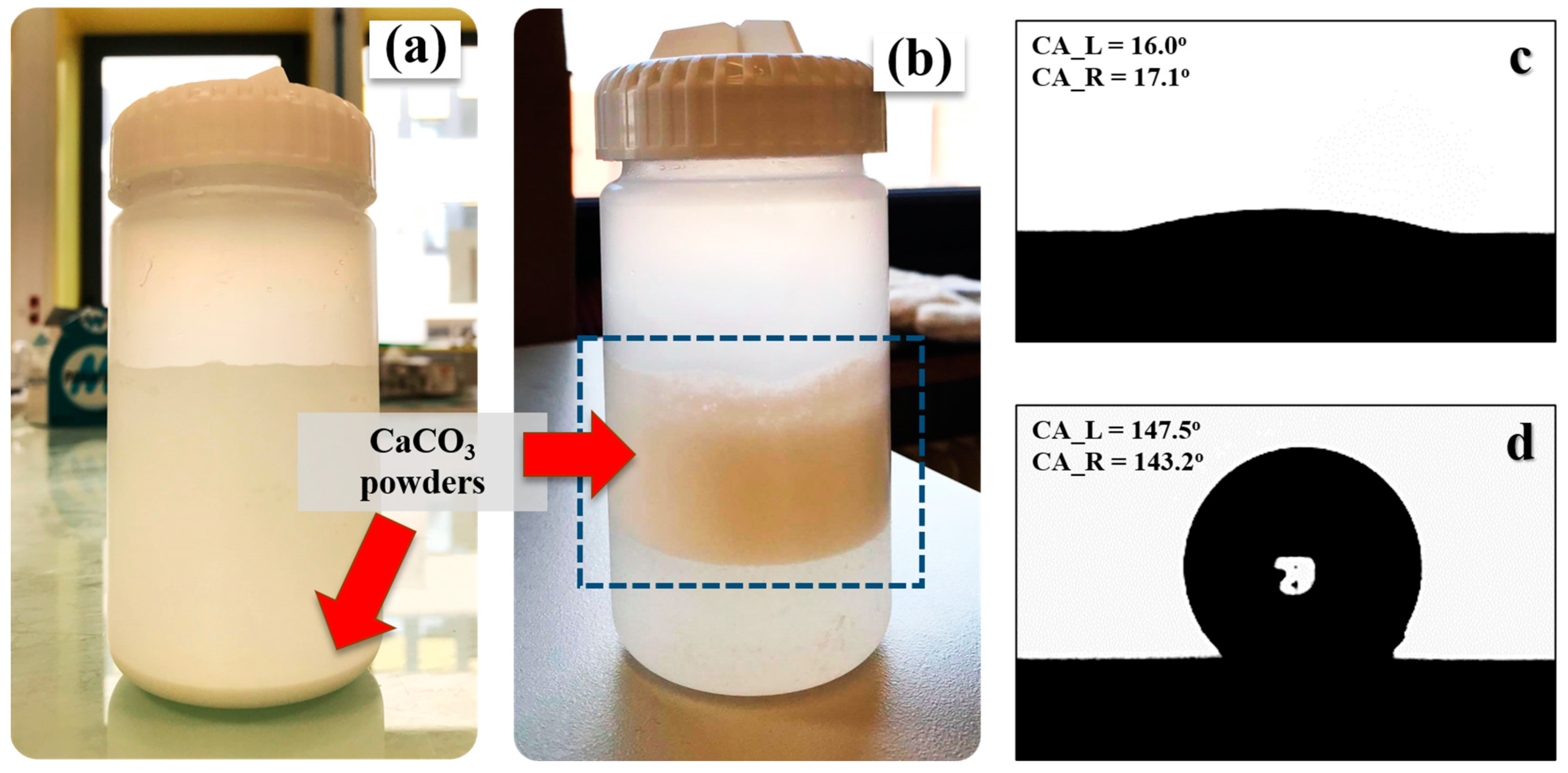 Polymers 15 04287 g001