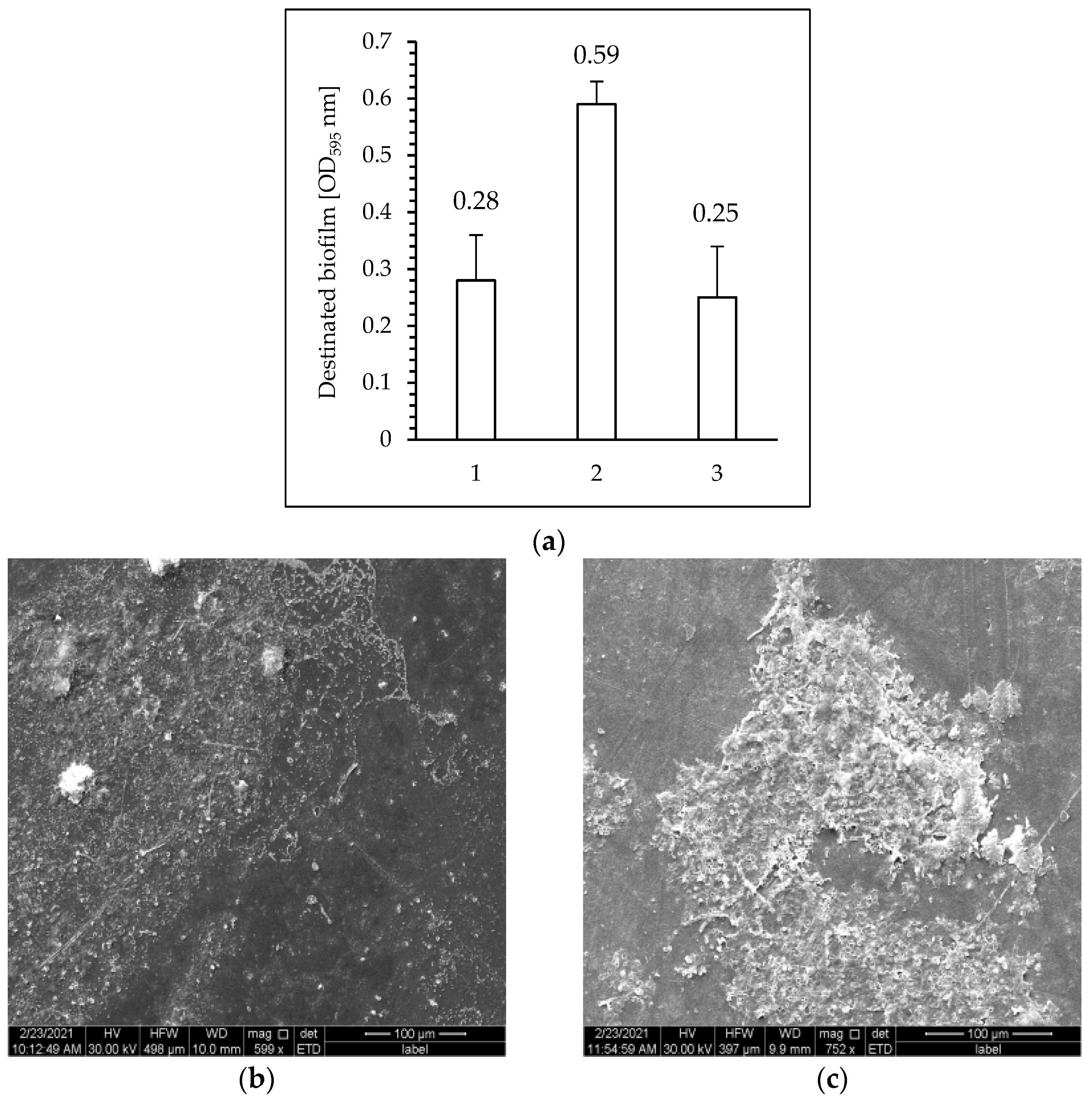 Polymers 15 04289 g008