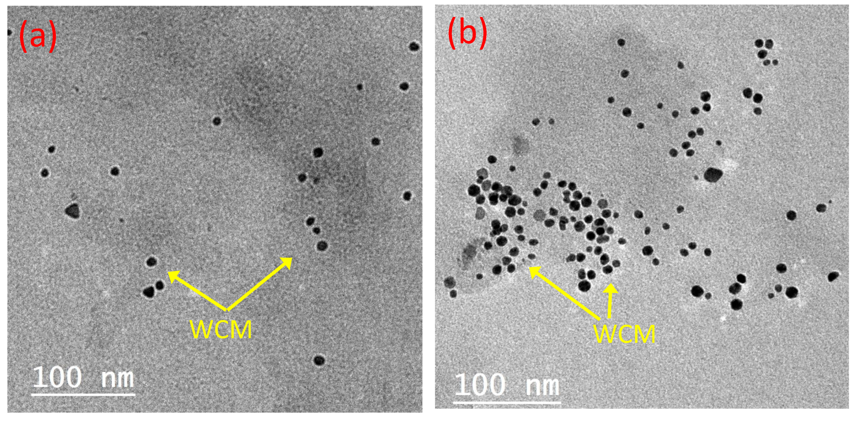 Polymers 15 04291 g007