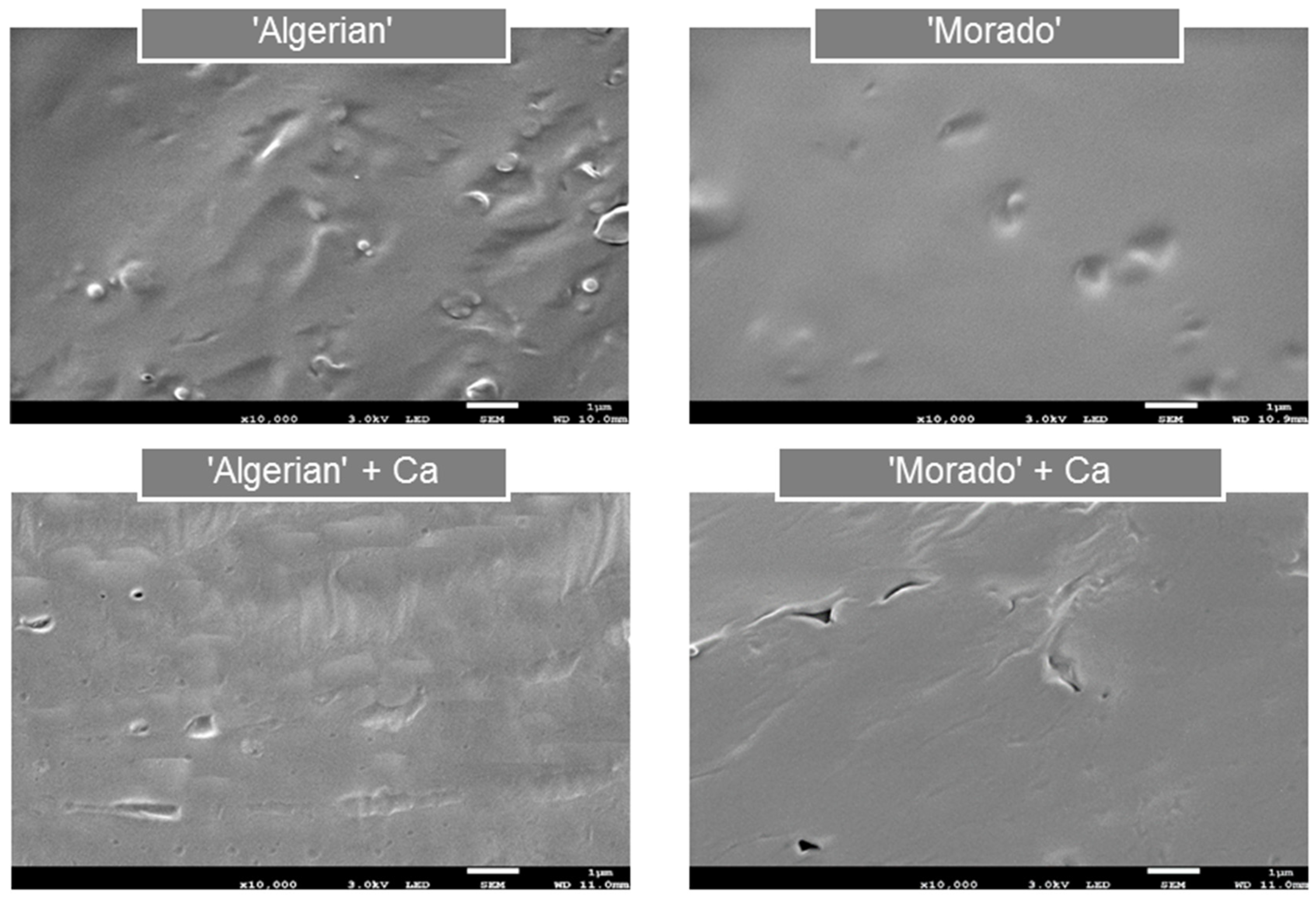 Polymers 15 04295 g001