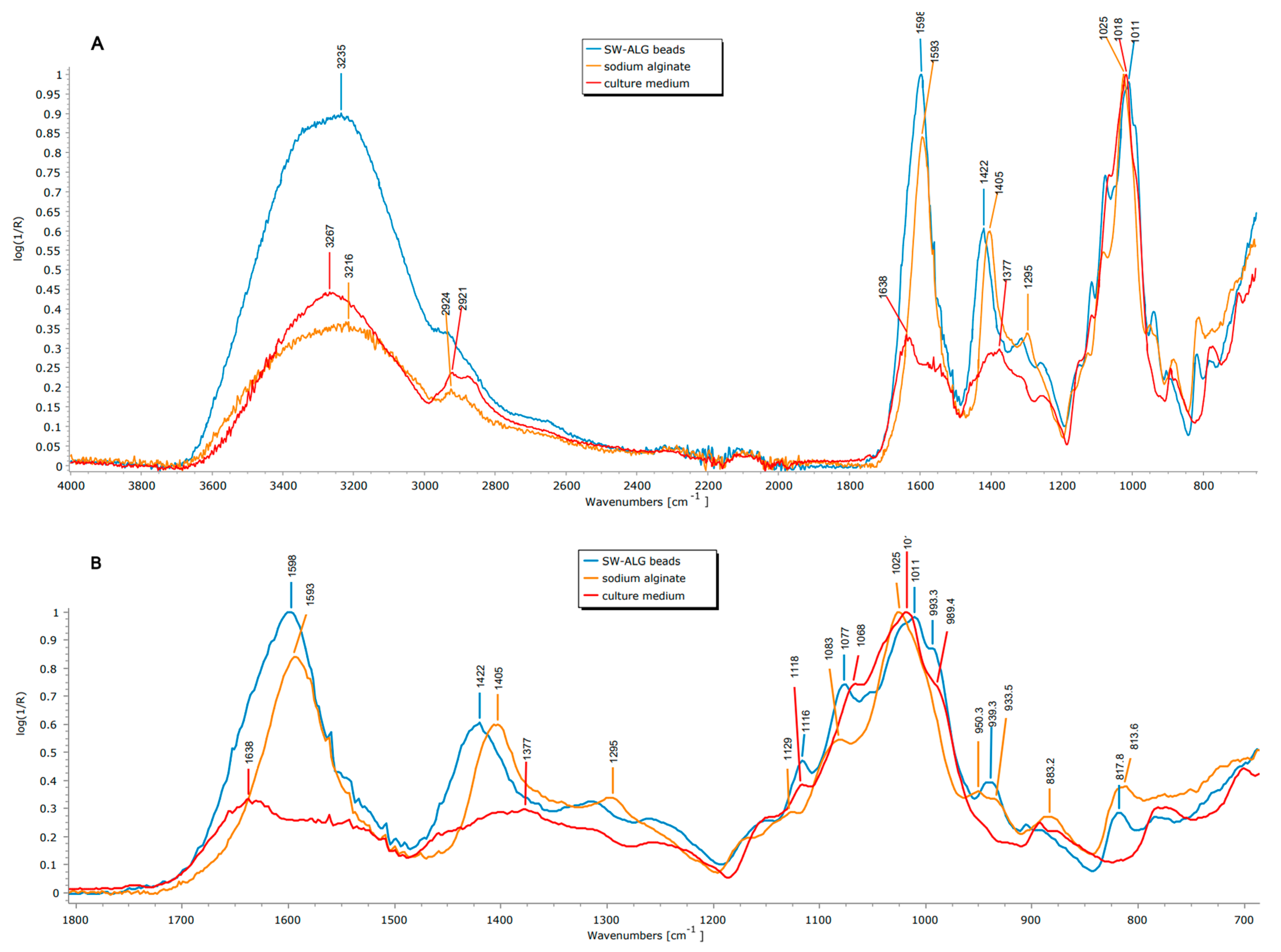 Polymers 15 04296 g002