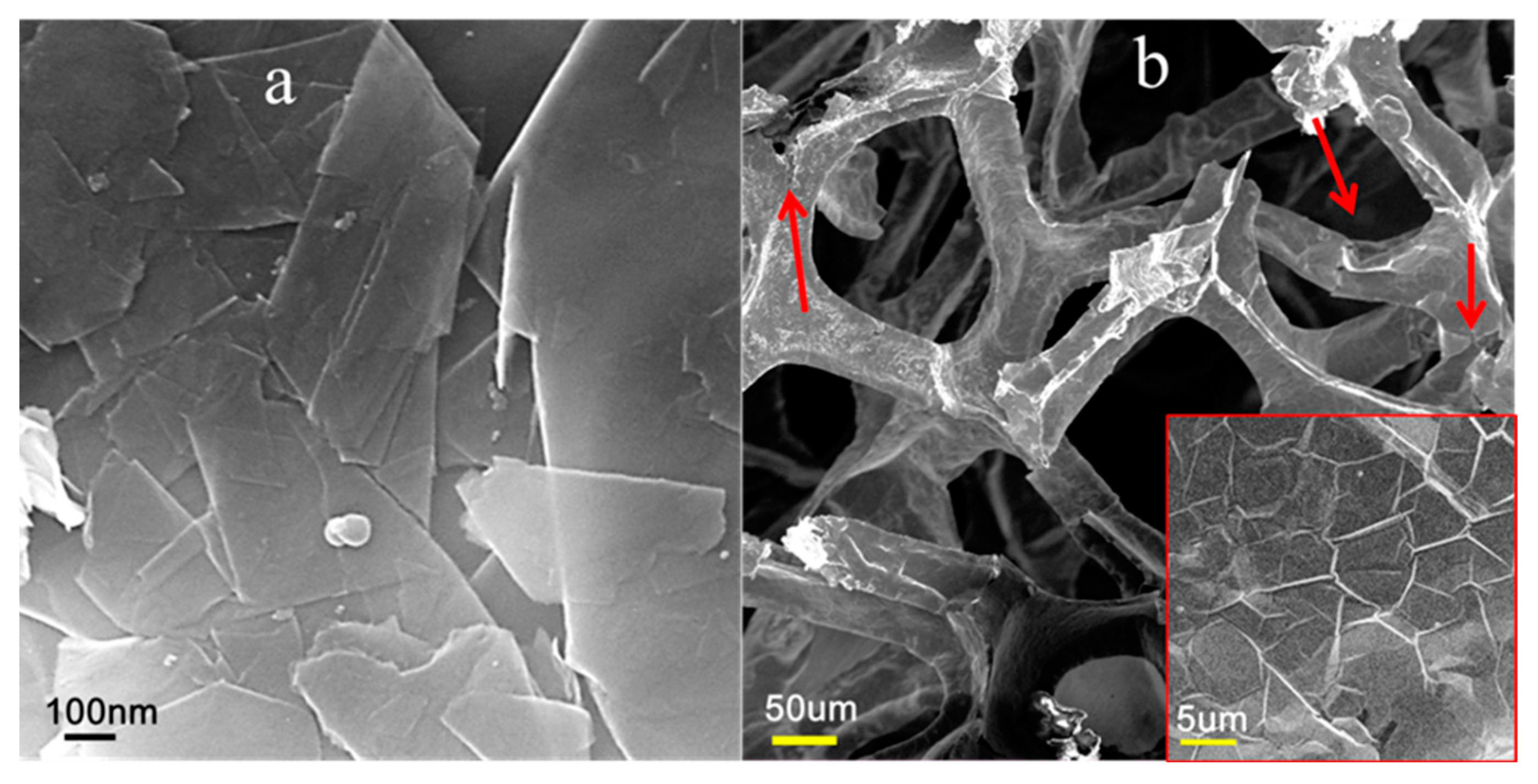 Polymers 15 04302 g001
