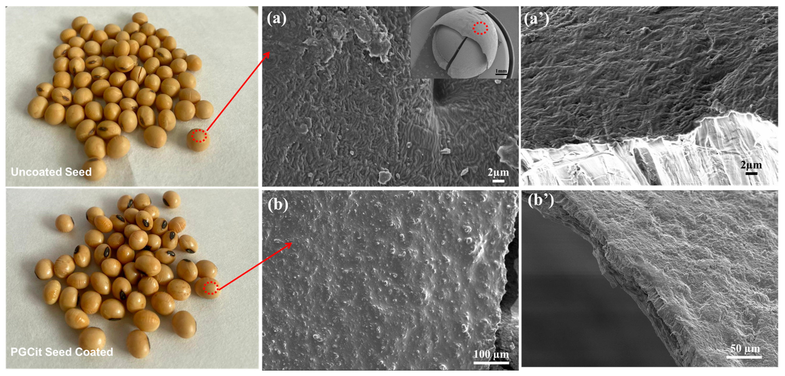 Polymers 15 04303 g011