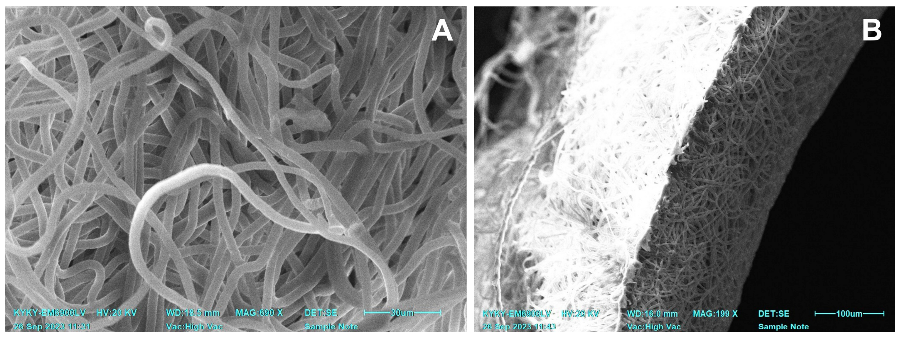 Polymers 15 04304 g001