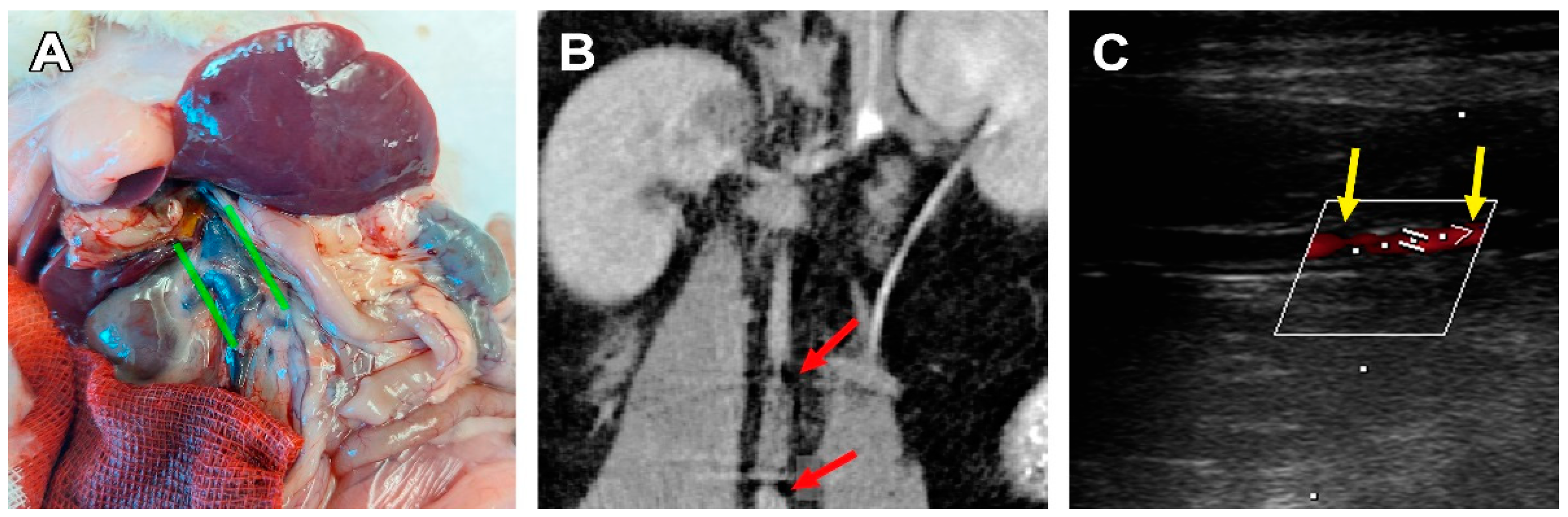 Polymers 15 04304 g003