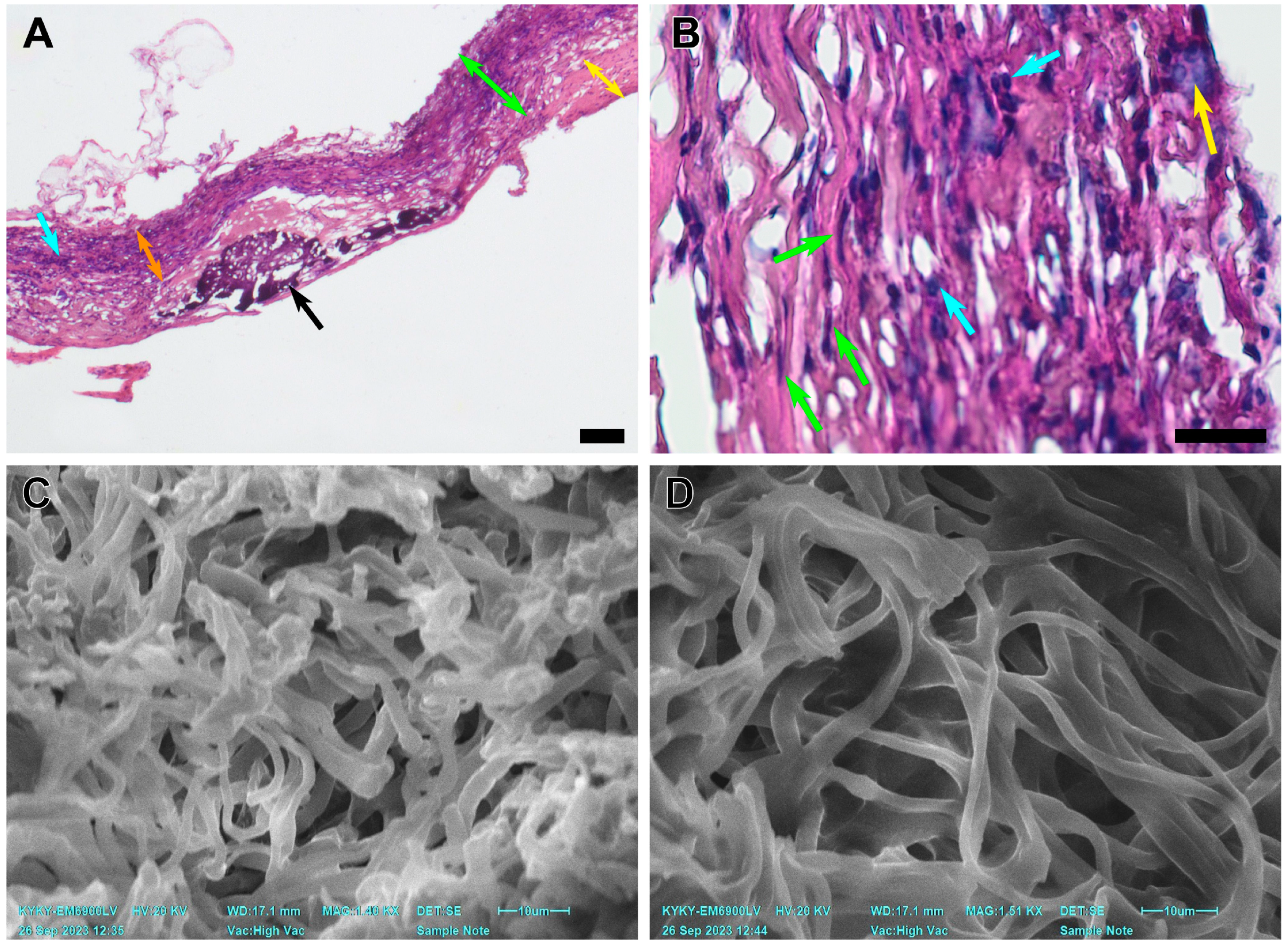 Polymers 15 04304 g006